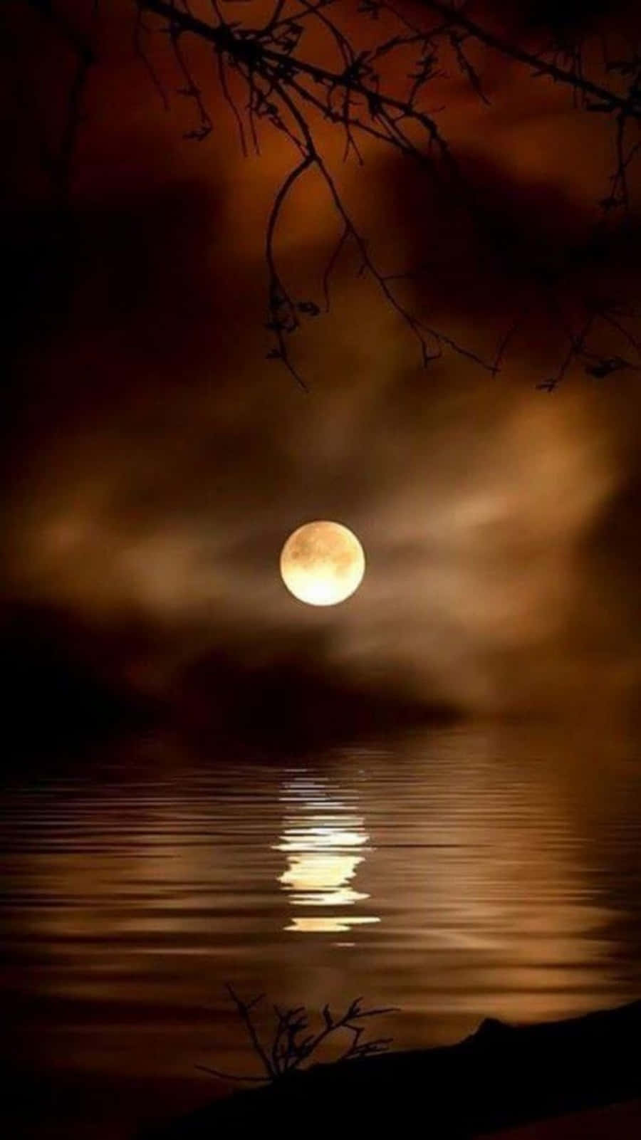 Beautiful Moon 桌布 壁紙 — 一輪明亮的滿月在暮色天空下，將溫暖的金色倒影投射在平靜的水面上，樹枝剪影襯托其間。