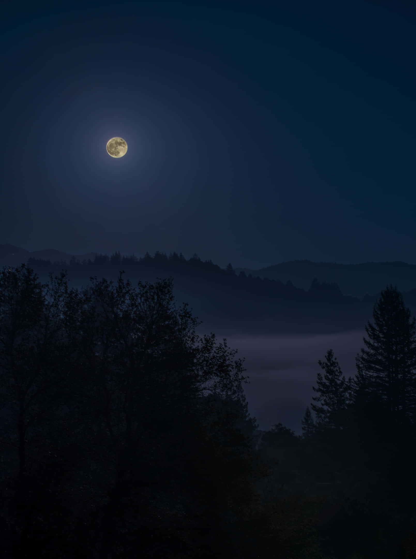 Dark Night 桌布 壁紙 — 一輪明亮的滿月懸掛在夜晚霧氣瀰漫的森林山谷上空，將柔和的光芒灑在剪影般的樹木和遠山之上。