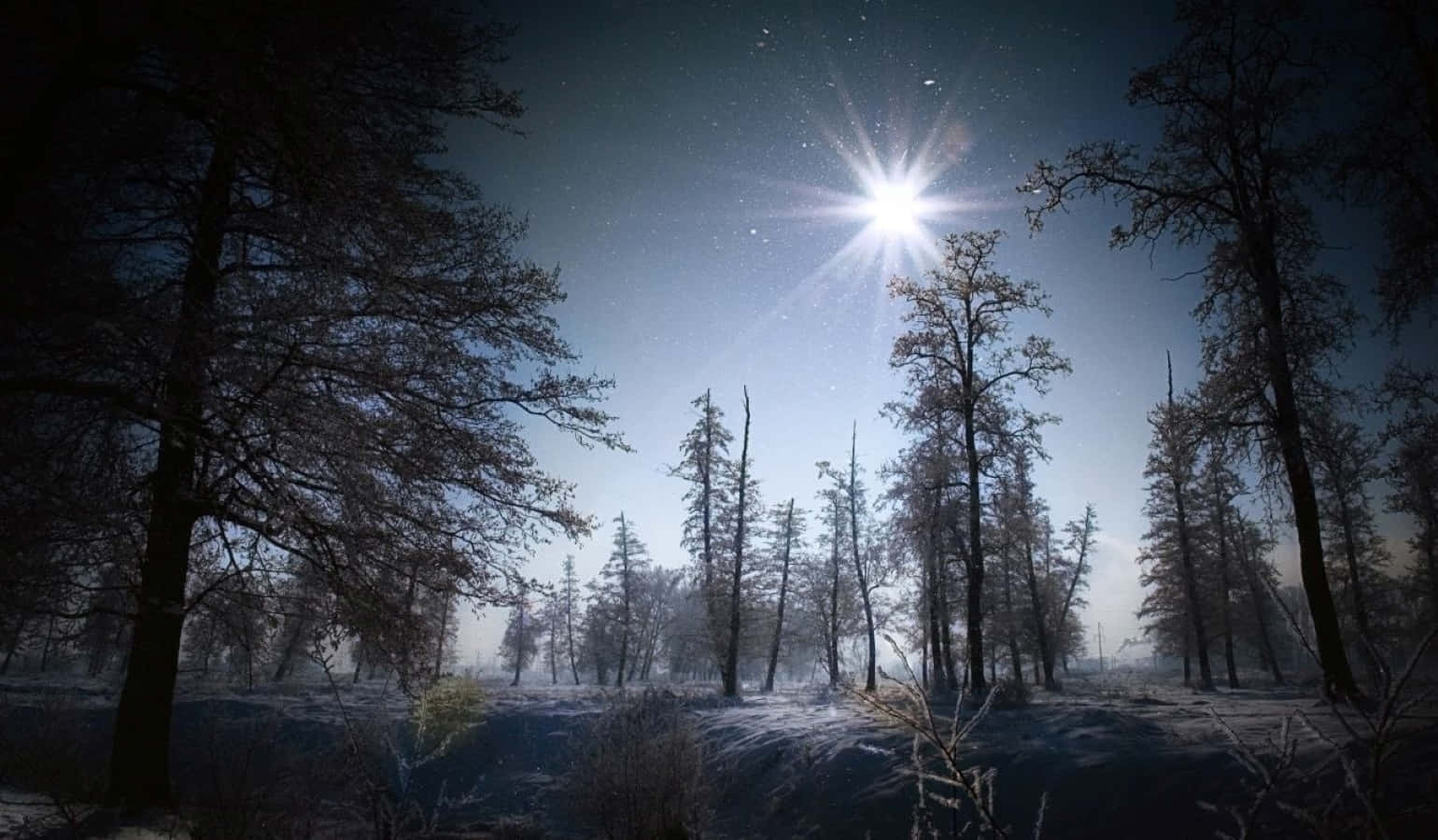 winter solstice 桌布 壁紙 — 一輪星爆月亮照亮了夜晚的雪林，樹木覆蓋著霜，地面霧氣瀰漫。