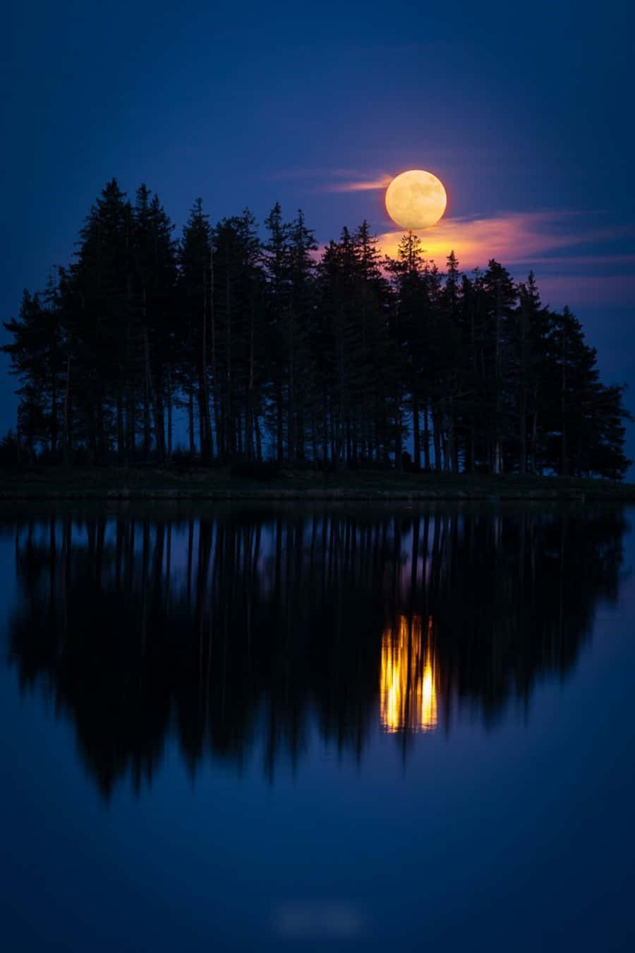 Beautiful Moon 桌布 壁紙 — 一輪滿月照耀著樹木繁茂的海岸線，其溫暖的光芒倒映在下方平靜的藍色海水中。