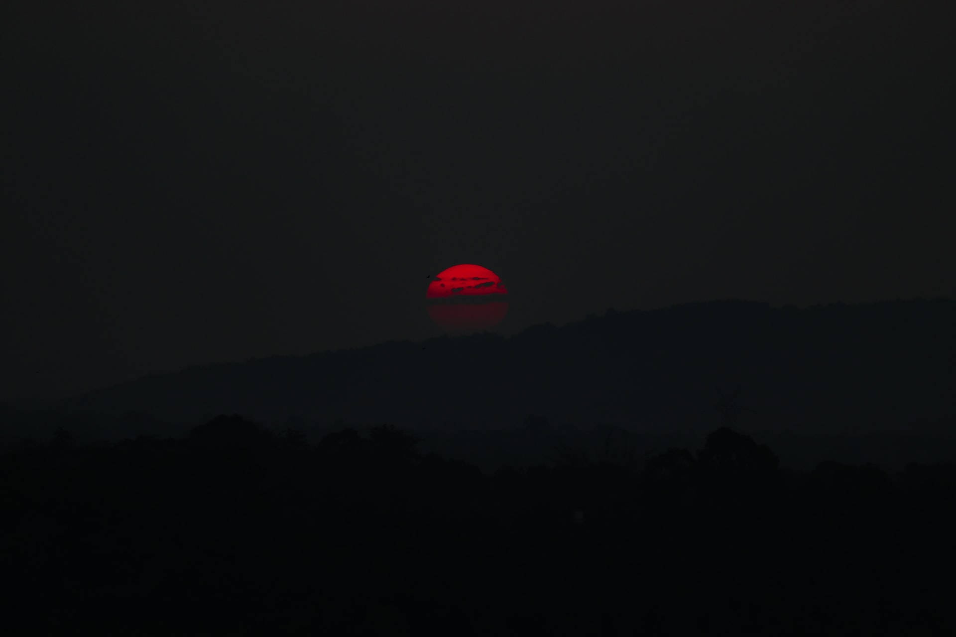 太陽 桌布 壁紙 — 一輪鮮紅的夕陽落在山丘和樹木的黑暗剪影後面，營造出憂鬱的暮色場景。