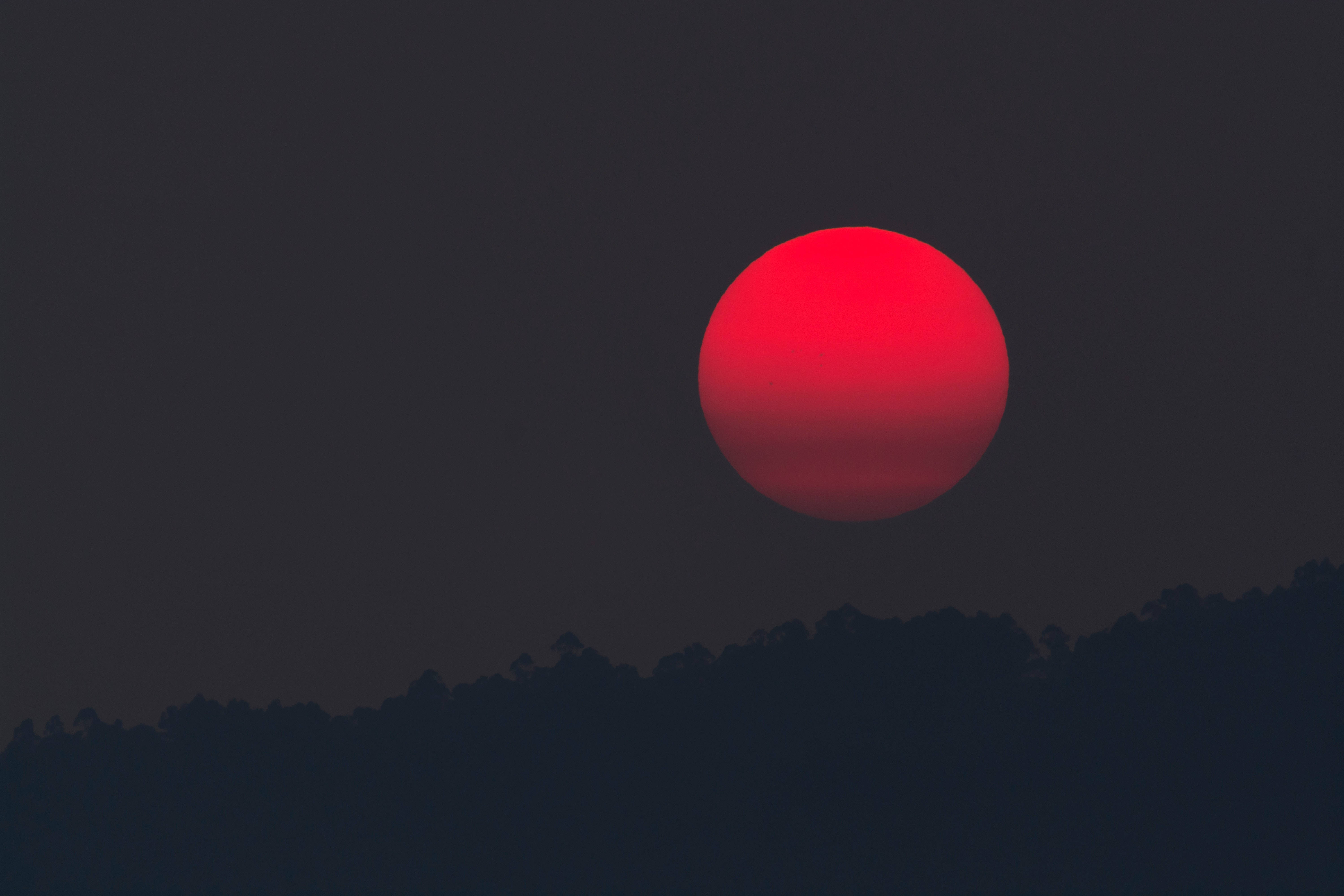 日落天空 桌布 壁紙 — 一輪鮮紅的太陽低垂在黑暗的樹線上，映襯著昏暗的天空。