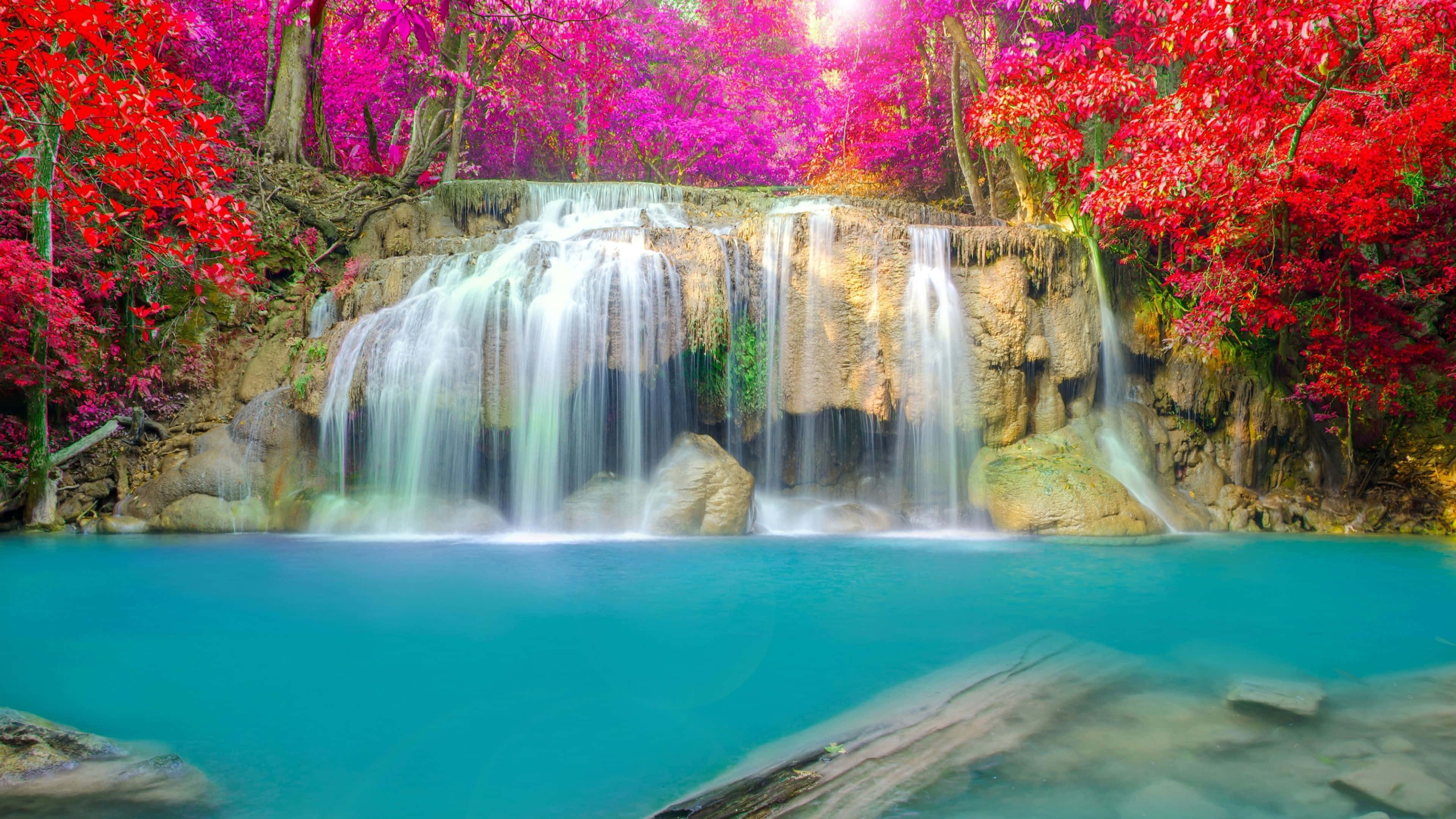 Waterfalls 桌布 壁紙 — 一道充滿活力的瀑布傾瀉而下，流入一個碧綠色的水池，周圍環繞著燃燒著粉紅色和紅色秋葉的樹木。