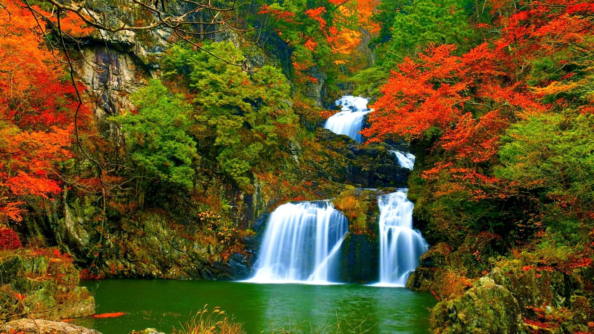 3d Waterfall 桌布 壁紙 — 一道充滿活力的瀑布穿過一片秋日紅綠相間的森林，傾瀉而下，落入平靜的翡翠綠水池中。