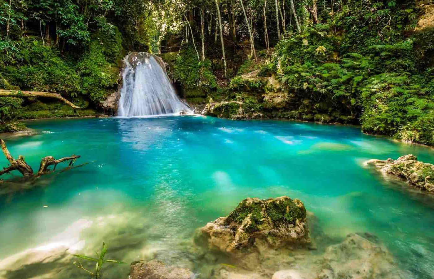 Jamaican Island 桌布 壁紙 — 一道充滿活力的綠松石瀑布傾瀉而下，流入被茂密綠色叢林葉片環繞的清澈水池。