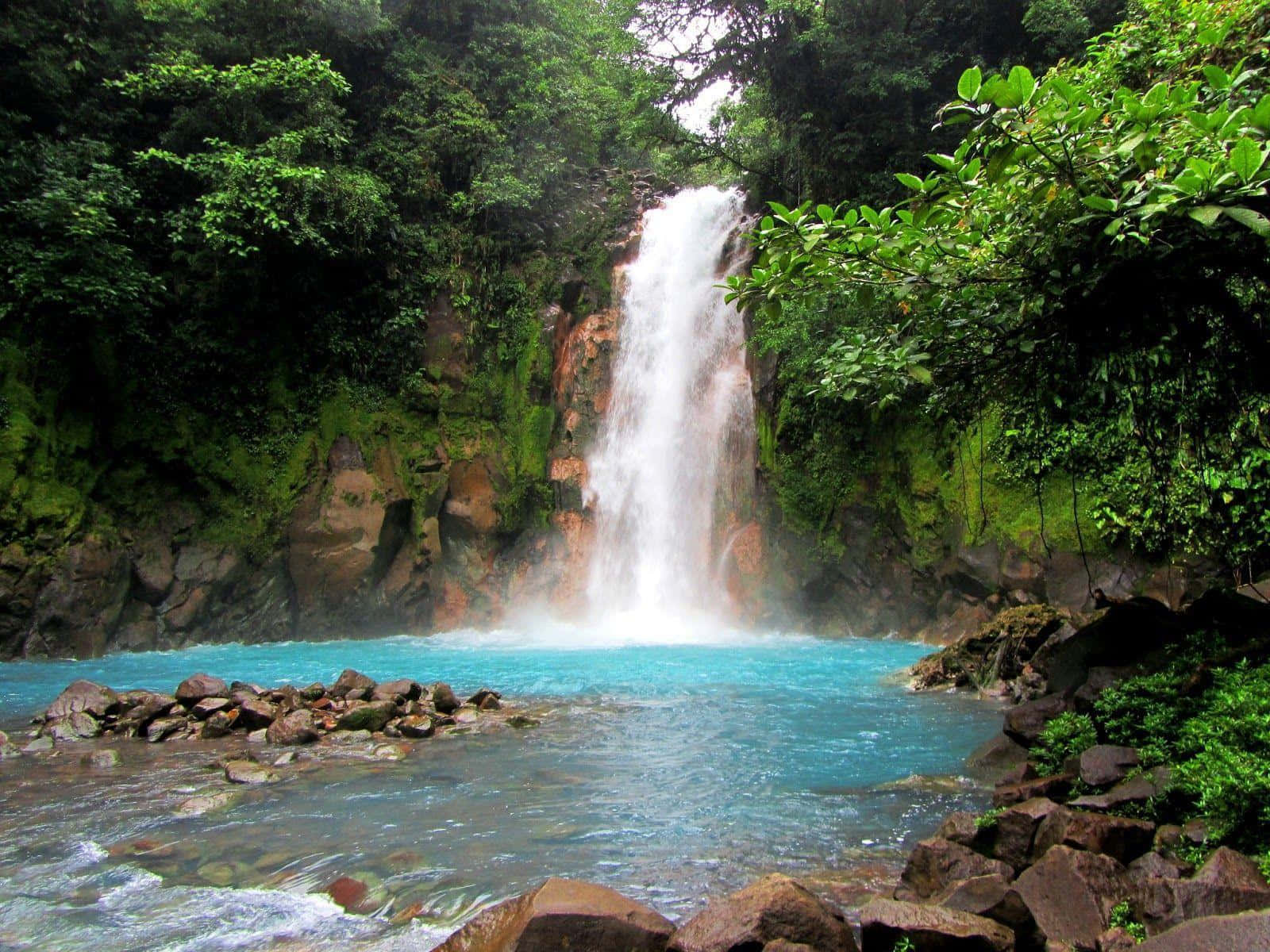 Costa Rica 桌布 壁紙 — 一道充滿活力的綠松石瀑布穿過茂密的綠色叢林，落入下方的岩石池中。