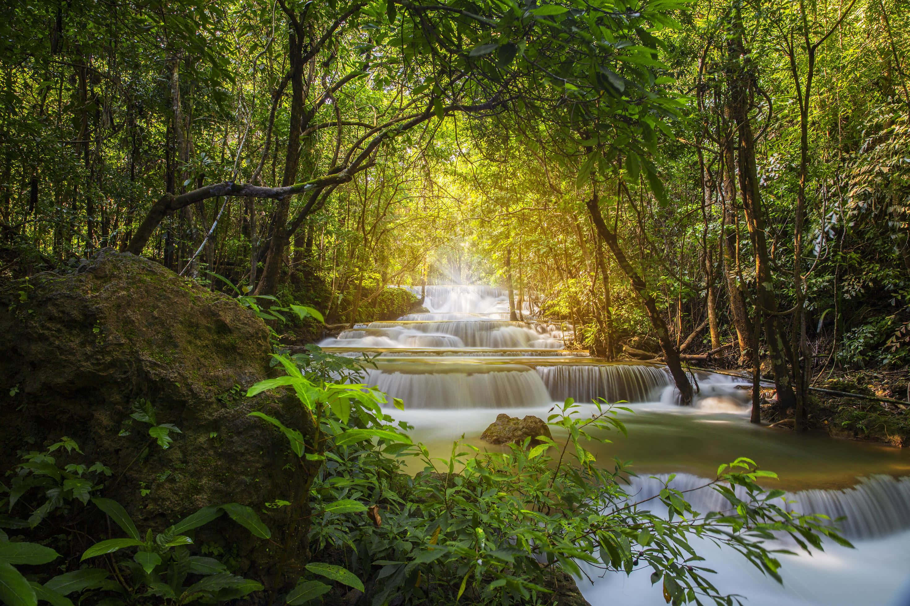 Nature Scenery 桌布 壁紙 — 一道寧靜的多層瀑布穿過茂密的綠色叢林，陽光透過樹冠灑落。