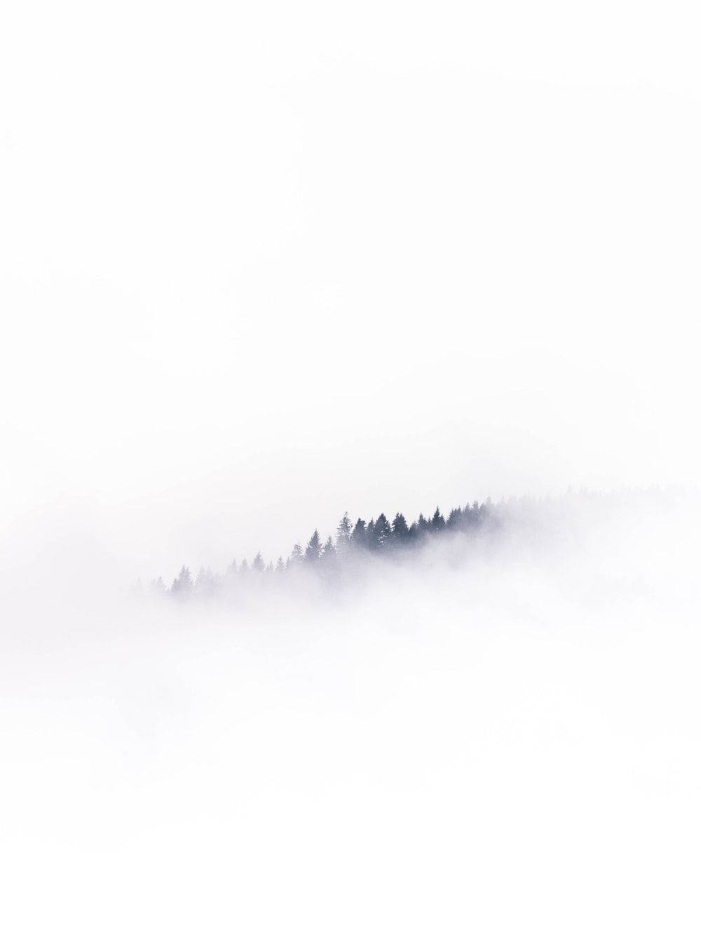 雪 桌布 壁紙 — 一道寧靜的森林山脊從濃霧中浮現，映襯著蒼白的天空，營造出極簡而寧靜的自然景象。