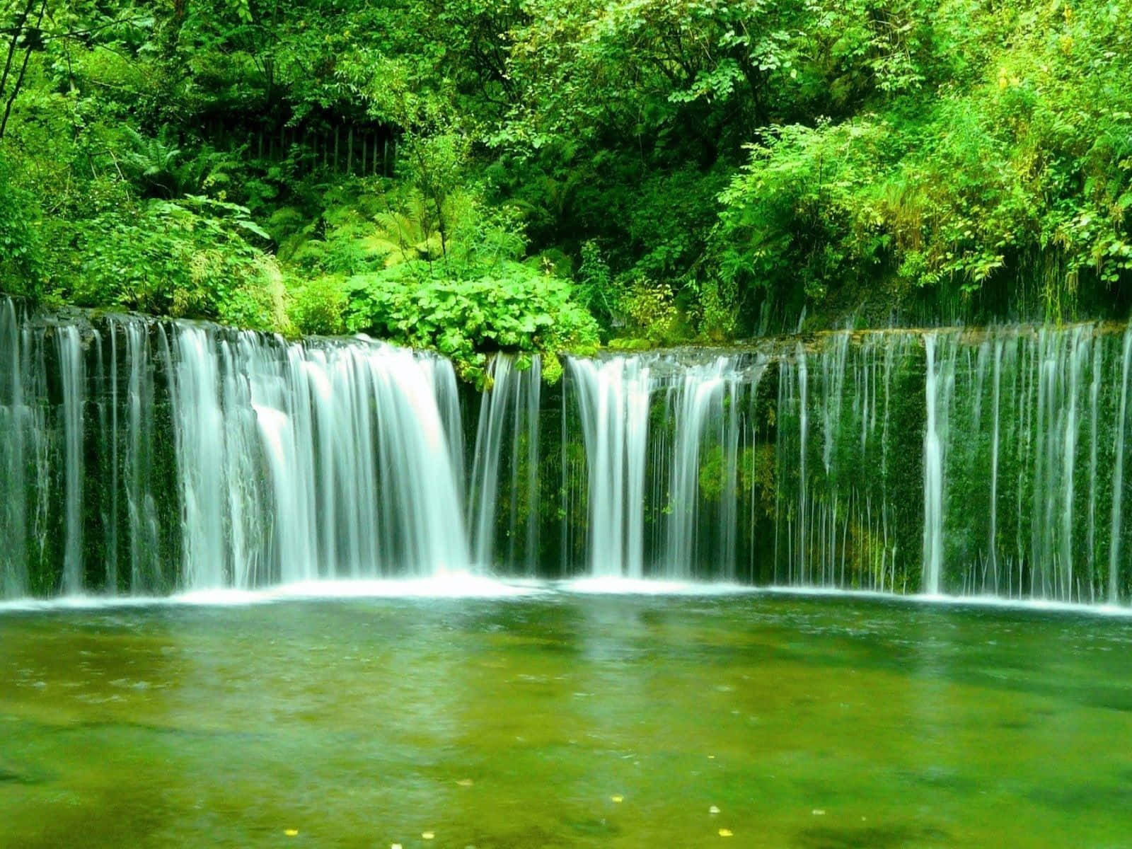 Waterfalls 桌布 壁紙 — 一道寧靜的水流輕輕流過長滿苔蘚的岩石，流入被茂密綠色森林環繞的平靜翡翠池中。