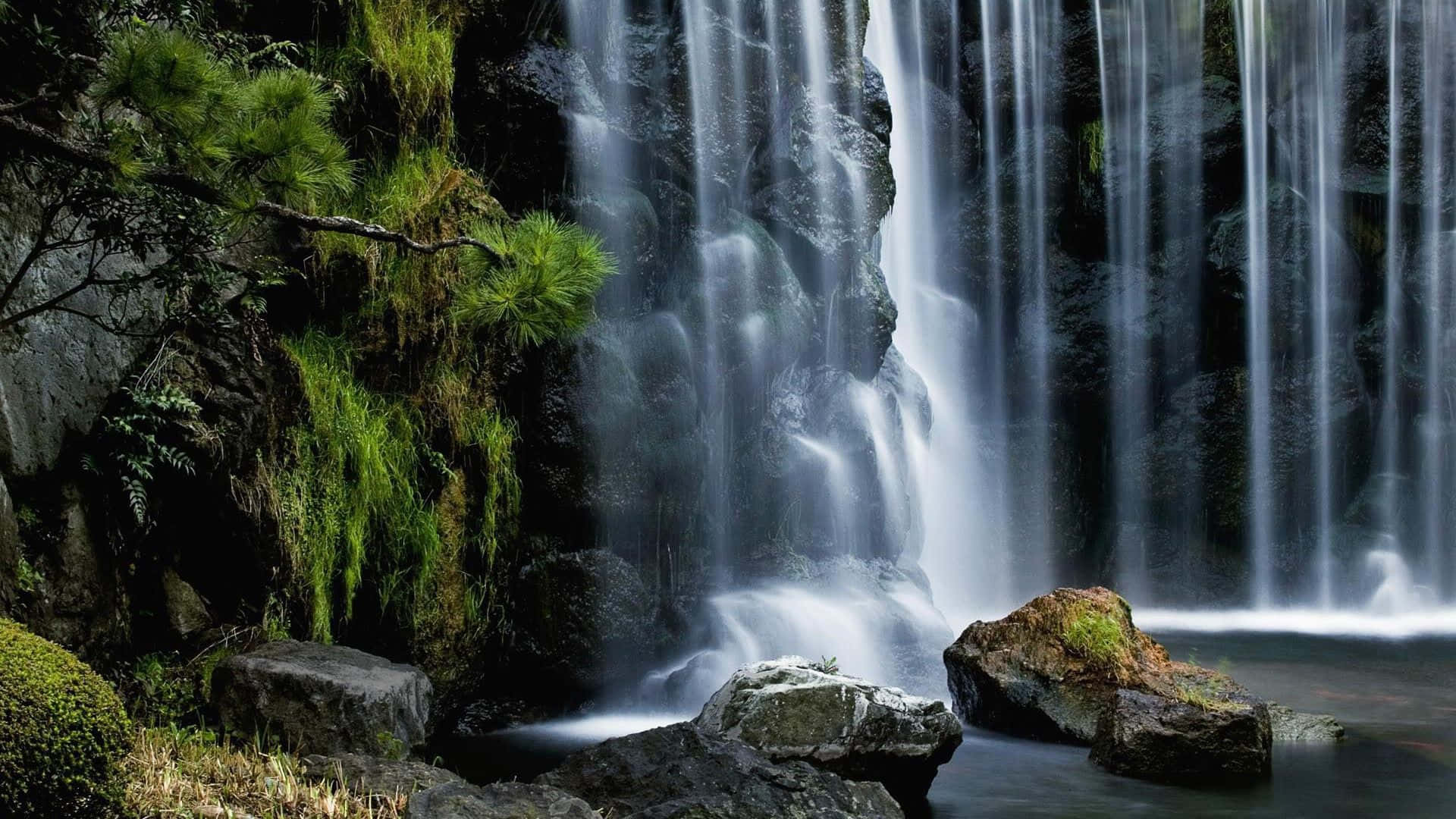 Waterfalls 桌布 壁紙 — 一道寧靜的瀑布從長滿苔蘚的岩石上傾瀉而下，四周環繞著茂密的綠植和松樹。