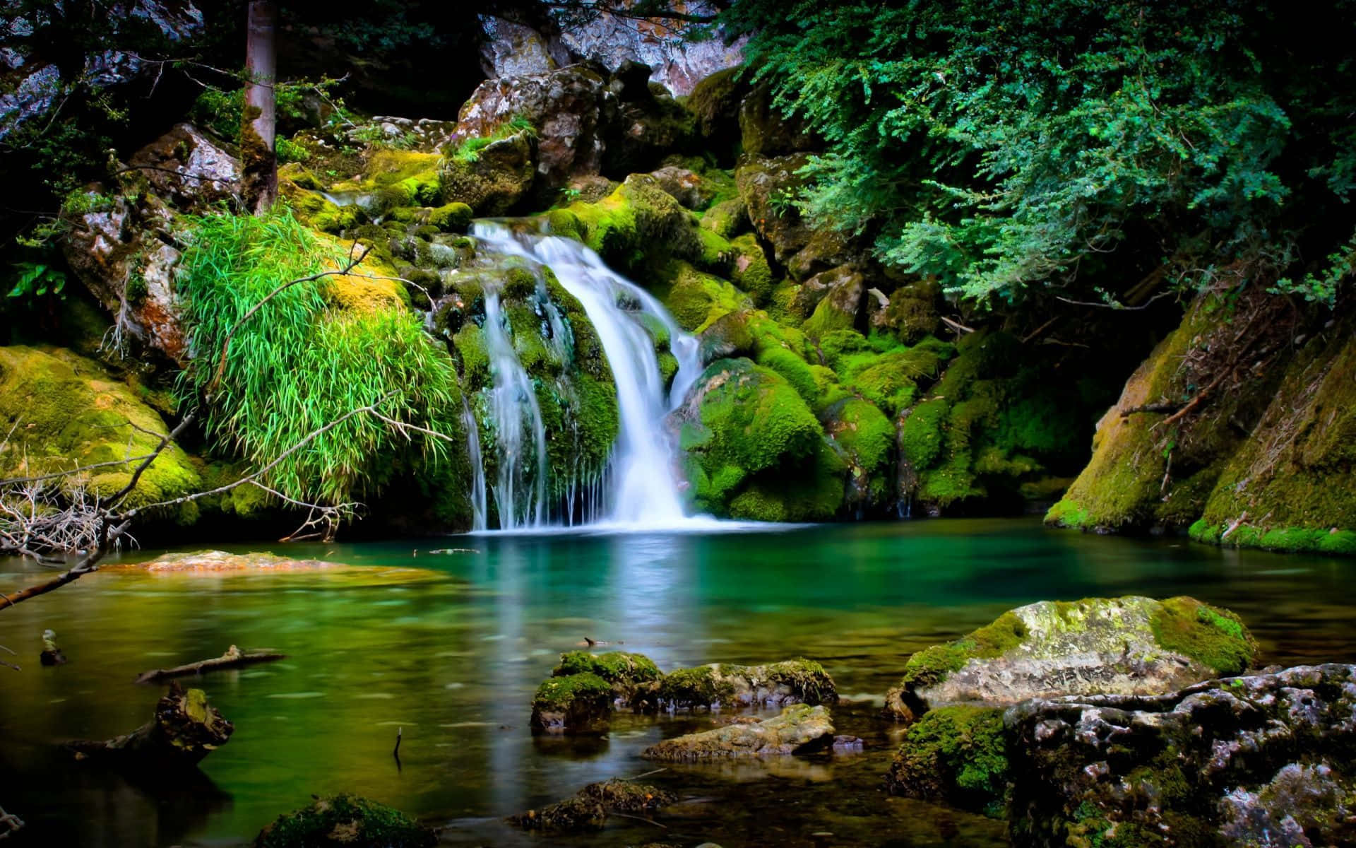 3d Waterfall 桌布 壁紙 — 一道寧靜的瀑布流過長滿苔蘚的岩石，落入一個被茂密綠色森林包圍的平靜碧綠水池中。