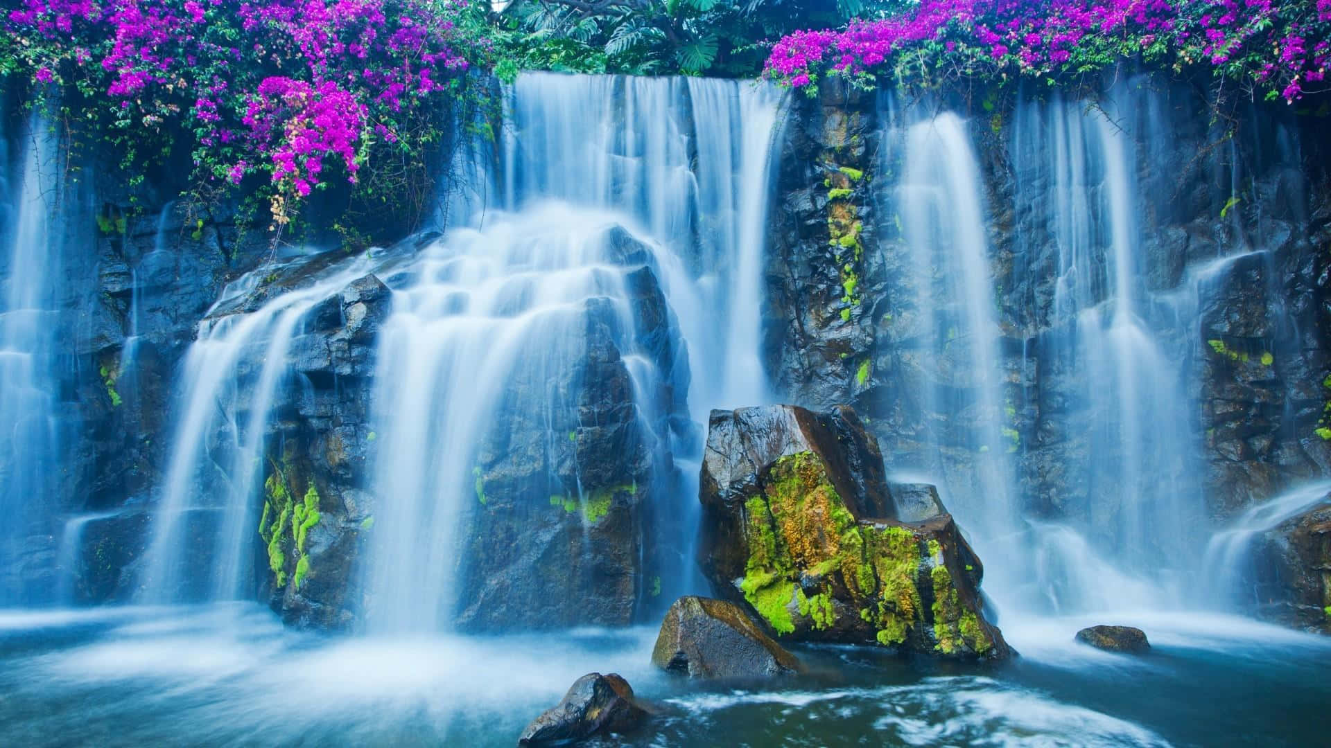 Waterfalls 桌布 壁紙 — 一道寧靜的瀑布流過長滿苔蘚的岩石，周圍環繞著鮮豔的紫色開花藤蔓，在柔和的光線下。