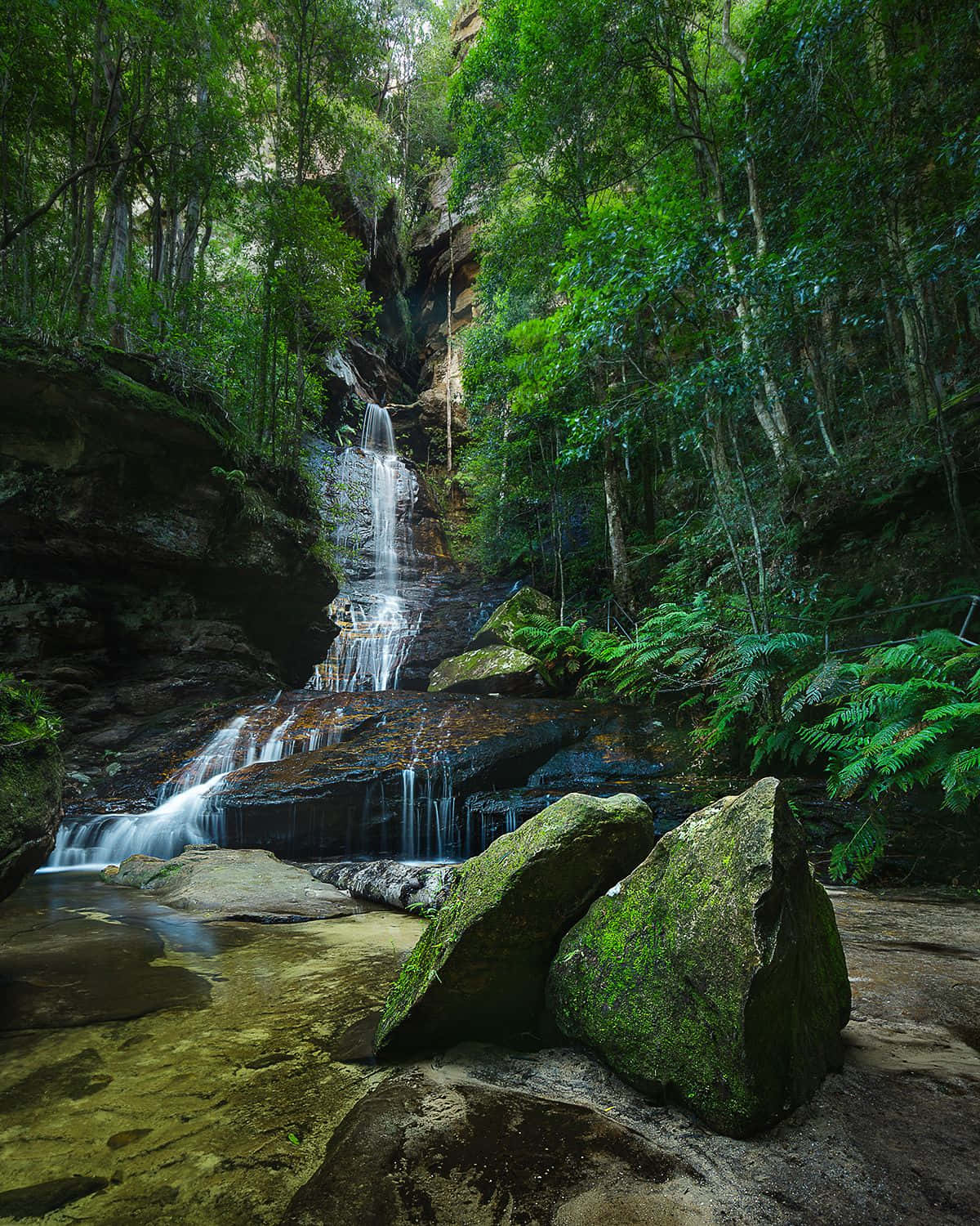 Blue Mountains National Park 桌布 壁紙 — 一道寧靜的瀑布流過長滿苔蘚的岩石，穿過茂密的綠色森林樹冠。