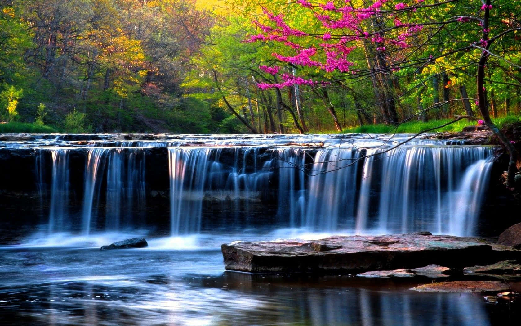 Waterfalls 桌布 壁紙 — 一道寧靜的瀑布穿過森林，森林中有鮮豔的粉紅色花朵和金色的樹葉，在明亮的陽光下。