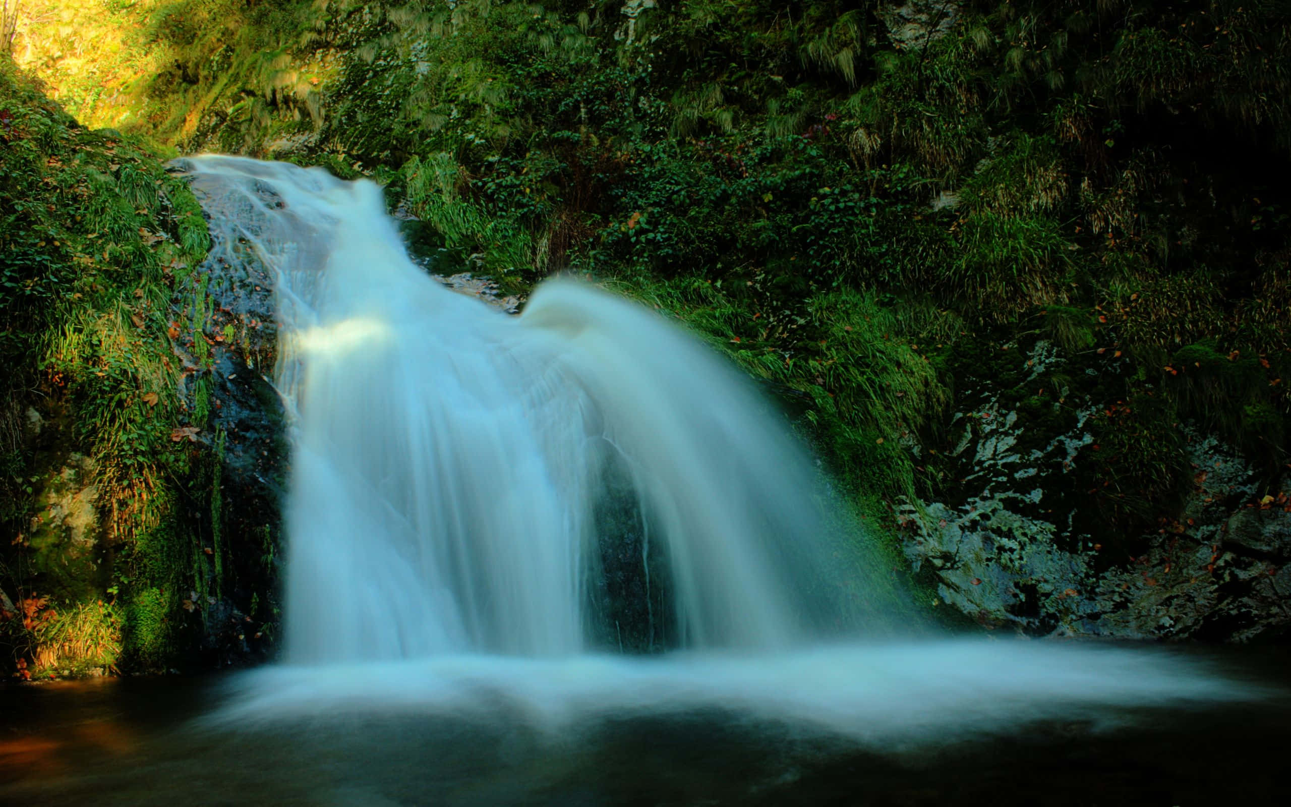3d Waterfall 桌布 壁紙 — 一道寧靜的瀑布穿過茂密的綠色森林，金色的陽光透過樹木灑落。