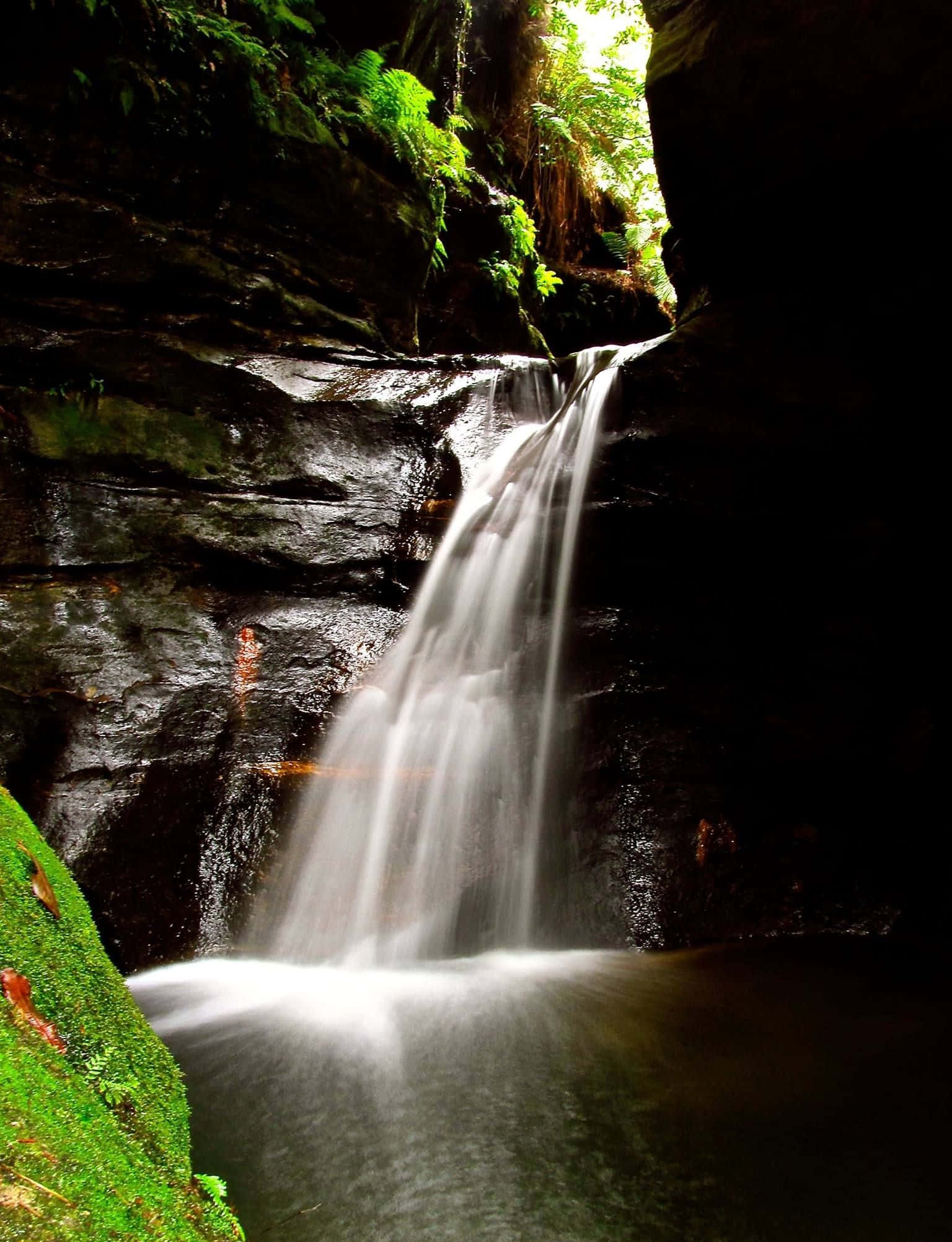 Blue Mountains National Park 桌布 壁紙 — 一道寧靜的瀑布穿過長滿苔蘚的岩石峽谷，陽光從上方的樹冠中透射下來。