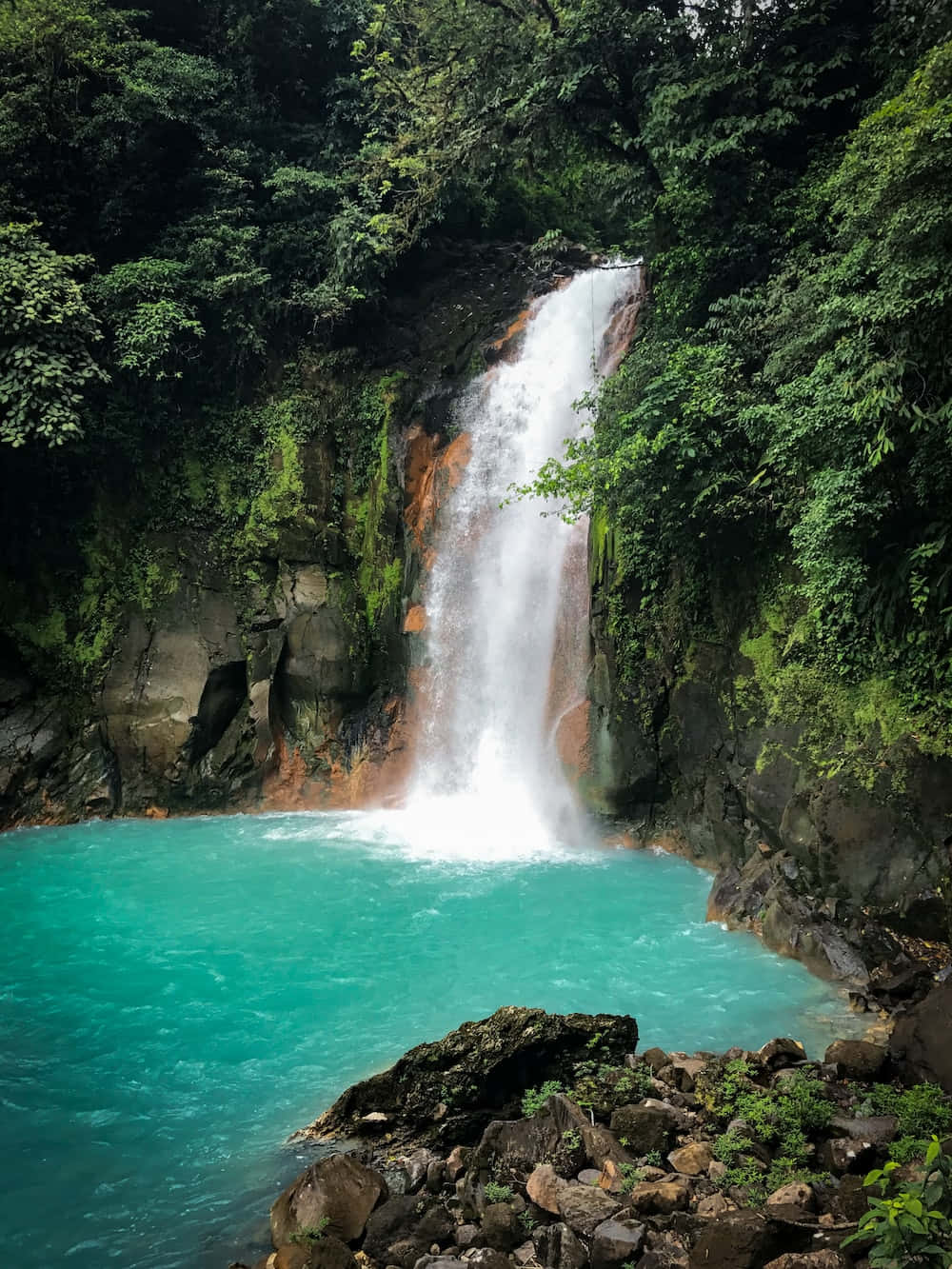 Costa Rica 桌布 壁紙 — 一道強勁的瀑布傾瀉而下，落入一個充滿活力的綠松石色水池，四周環繞著茂密的綠色叢林葉子。