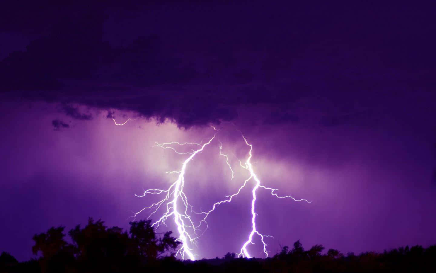 Thunderstorm 桌布 壁紙 — 一道強勁的閃電在深紫色暴風雨天空中分叉，下方是黑暗的樹線。