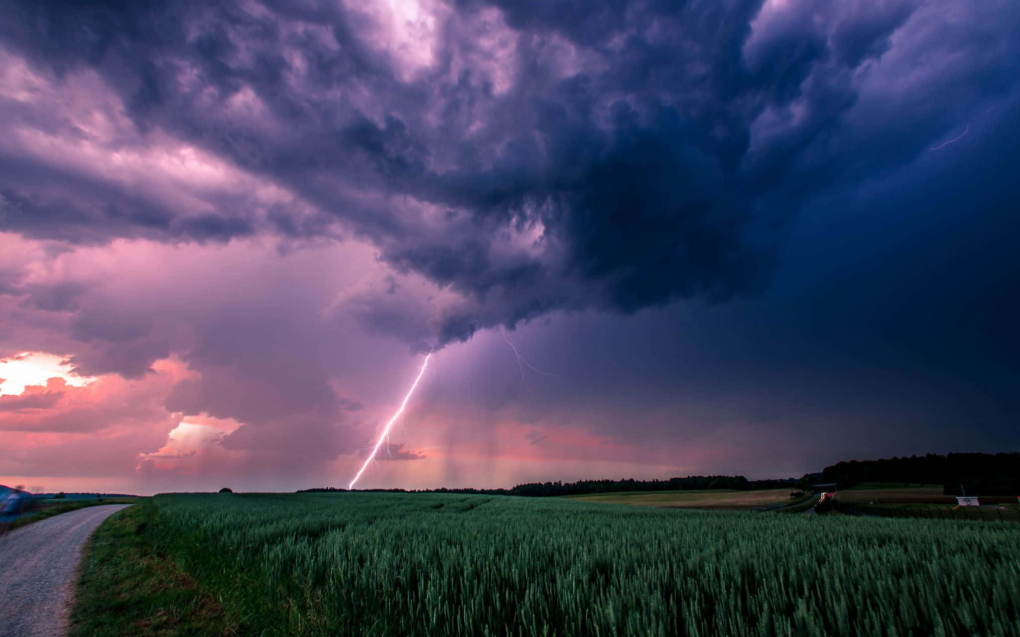 Thunderstorm 桌布 壁紙 — 一道戲劇性的閃電劃過廣闊的綠色田野，紫色和粉紅色的風暴雲籠罩在頭頂。