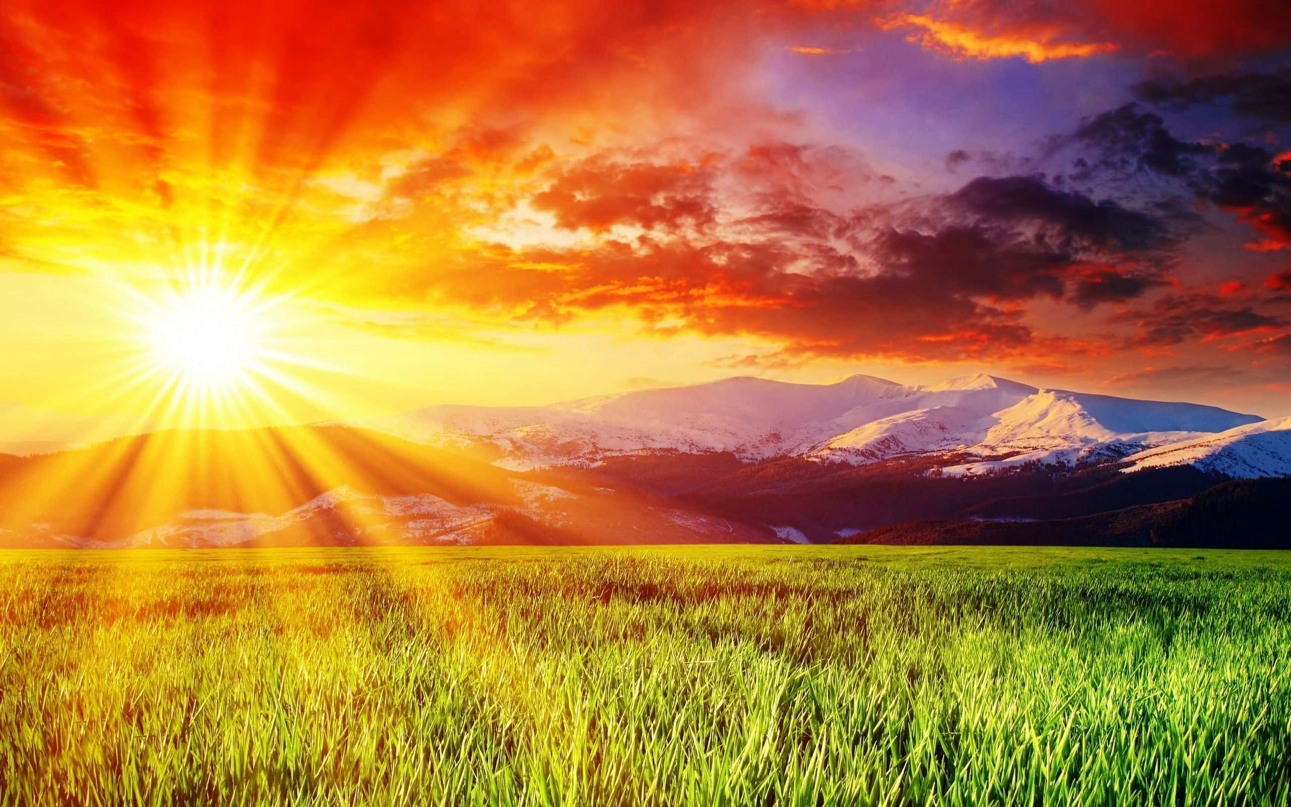 Spring Sunrise 桌布 壁紙 — 一道燦爛的陽光穿透火紅色的天空，照耀在遠處有雪山覆蓋的茂密綠色田野上。