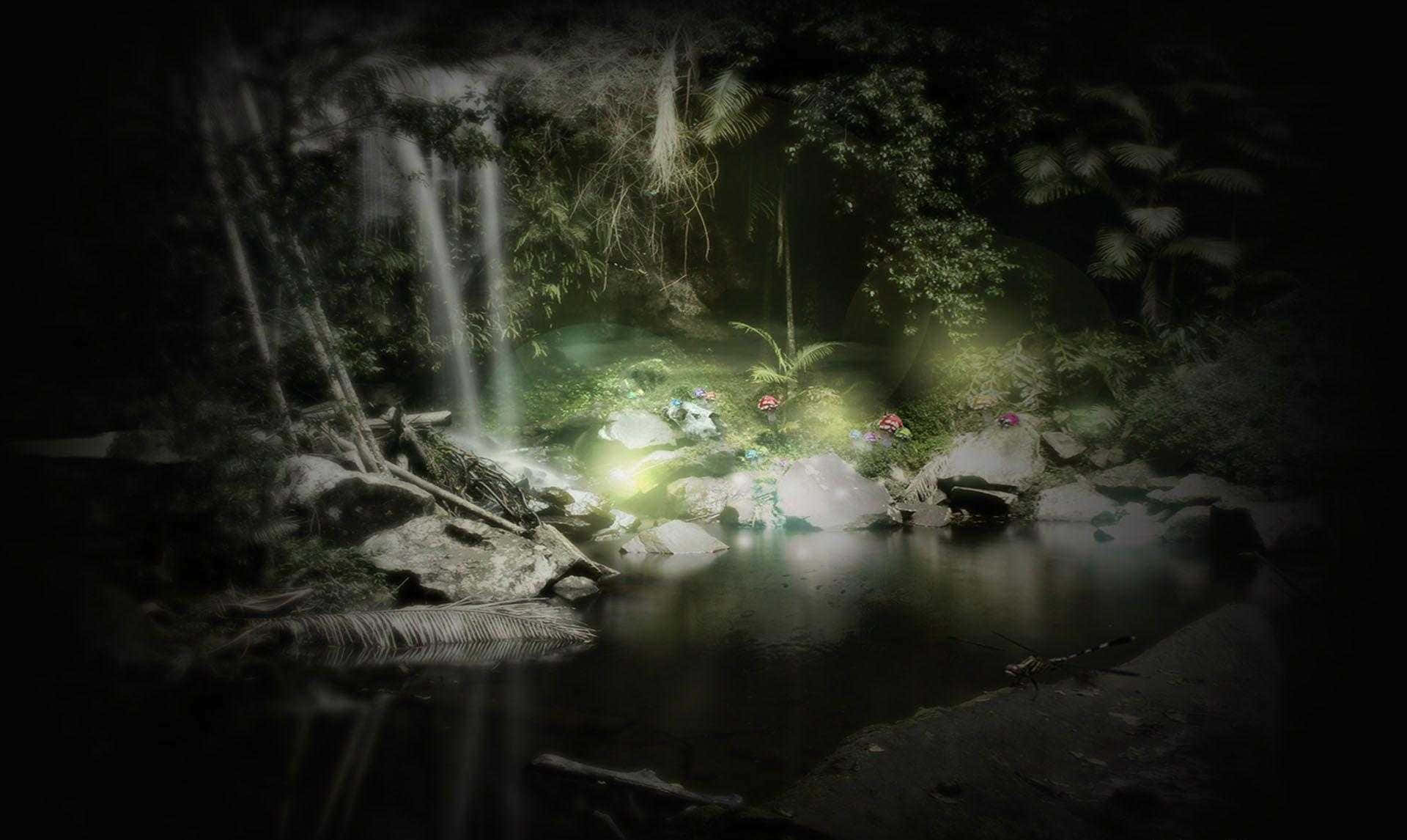 Enchanted Forest 桌布 壁紙 — 一道發光的瀑布傾瀉入一個黑暗的叢林水池，被苔蘚岩石和蕨類植物之間的空靈綠光照亮。