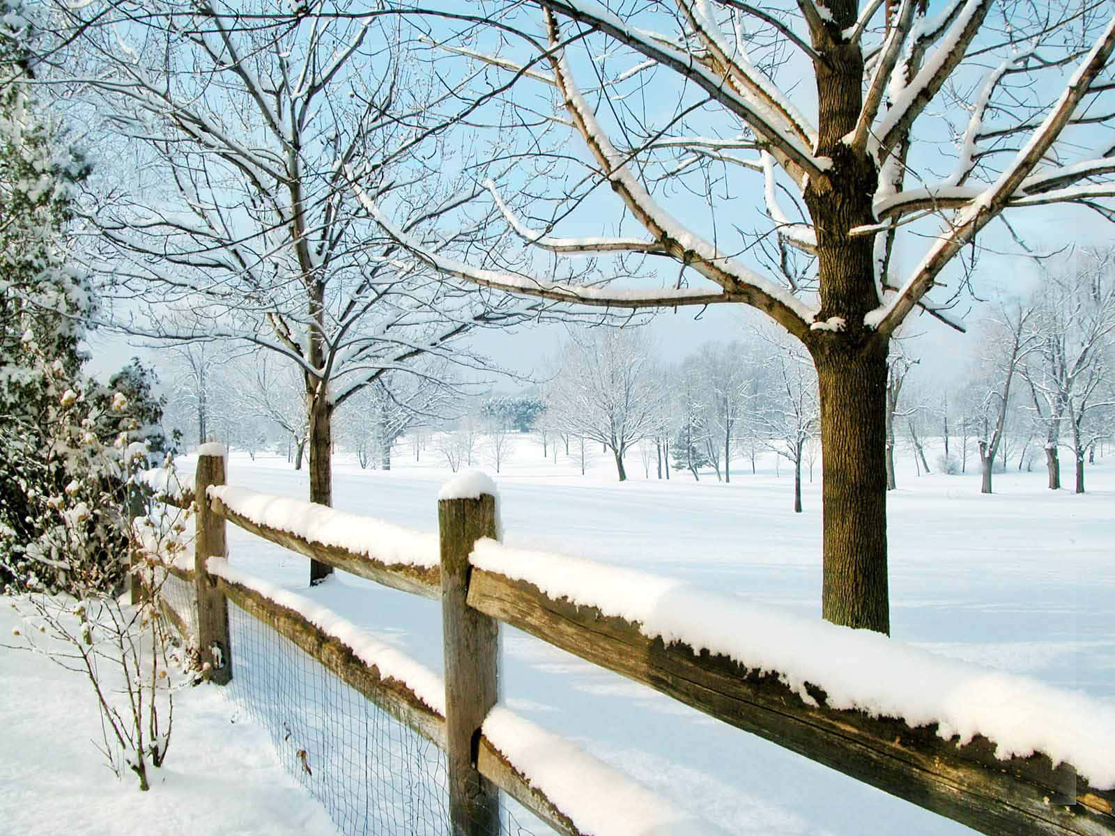 Winter Scene 桌布 壁紙 — 一道被雪覆蓋的木柵欄，環繞著一片寧靜的冬季田野，田野上有光禿的樹木，背景是清澈的藍天。