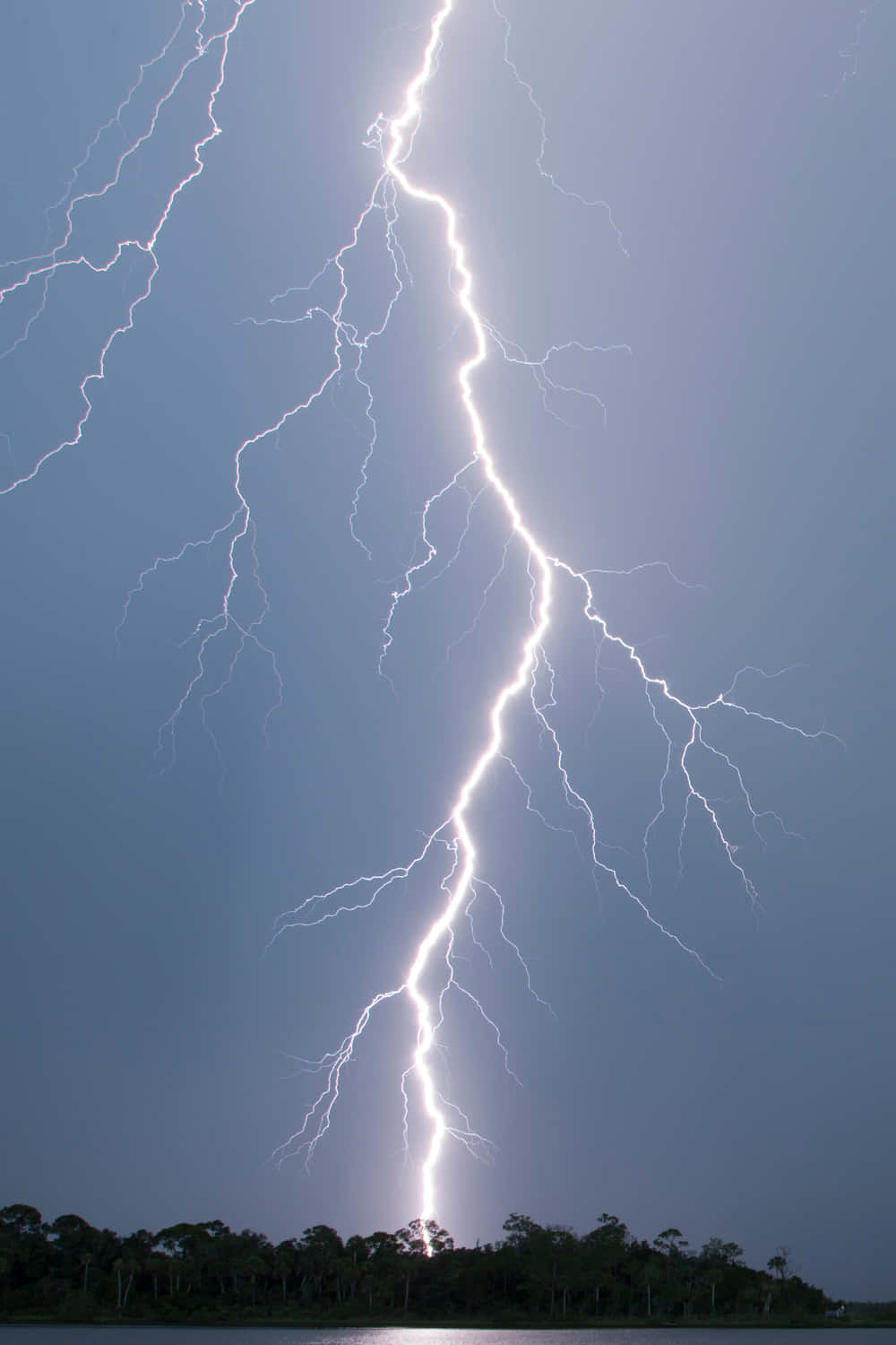 一道強烈的閃電照亮了湖泊和森林上空的暴風雨天空。