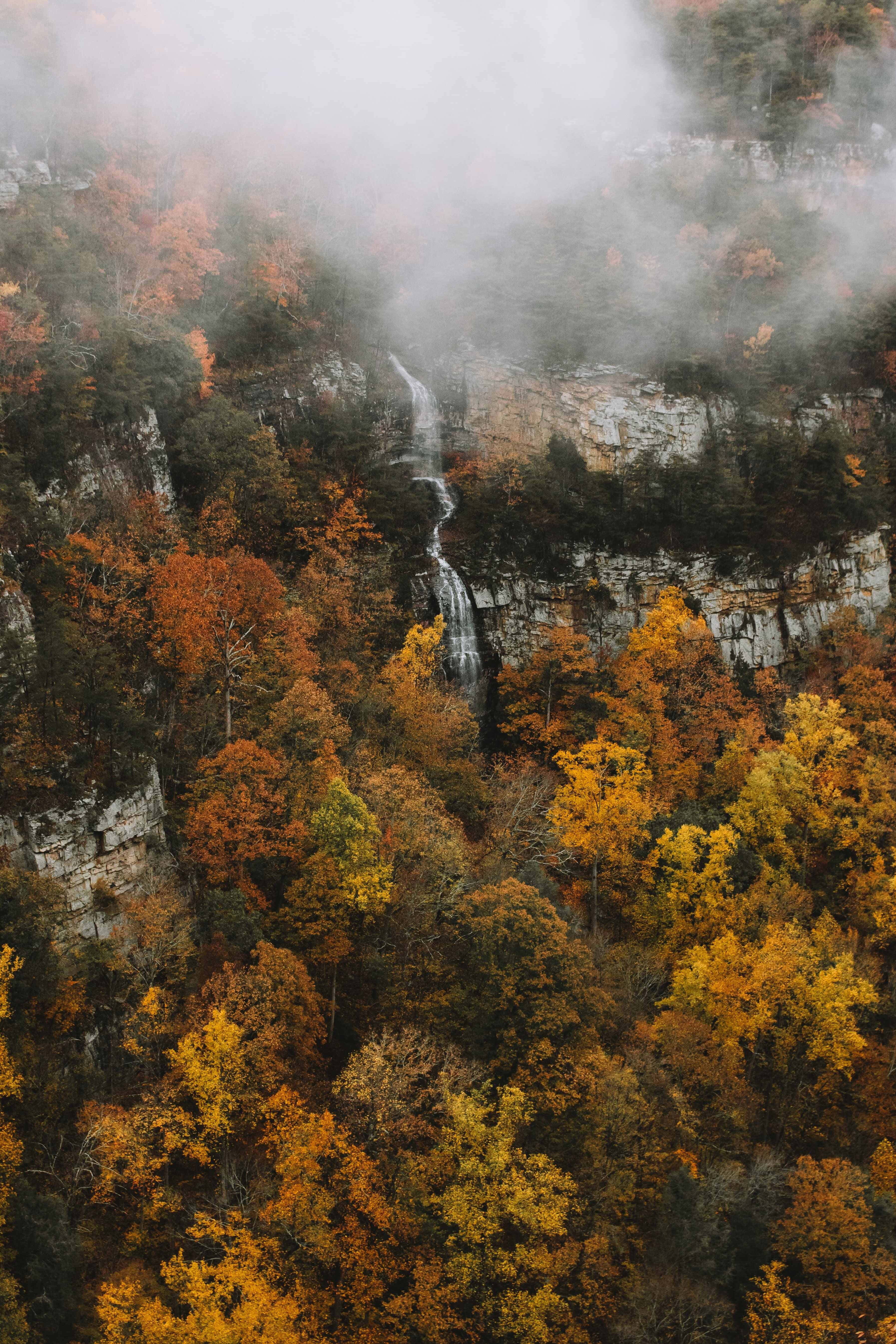 Fall Fog 桌布 壁紙 — 一道霧氣瀰漫的瀑布從岩石懸崖傾瀉而下，周圍環繞著溫暖橙色和黃色調的鮮豔秋葉。