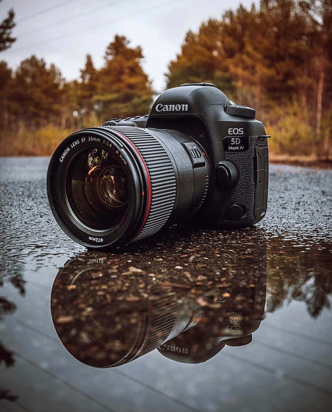 Dslr Camera 桌布 壁紙 — 一部 Canon EOS 5D Mark IV 相機放在濕漉漉的路面上，背景有清晰的倒影和秋天的樹木。