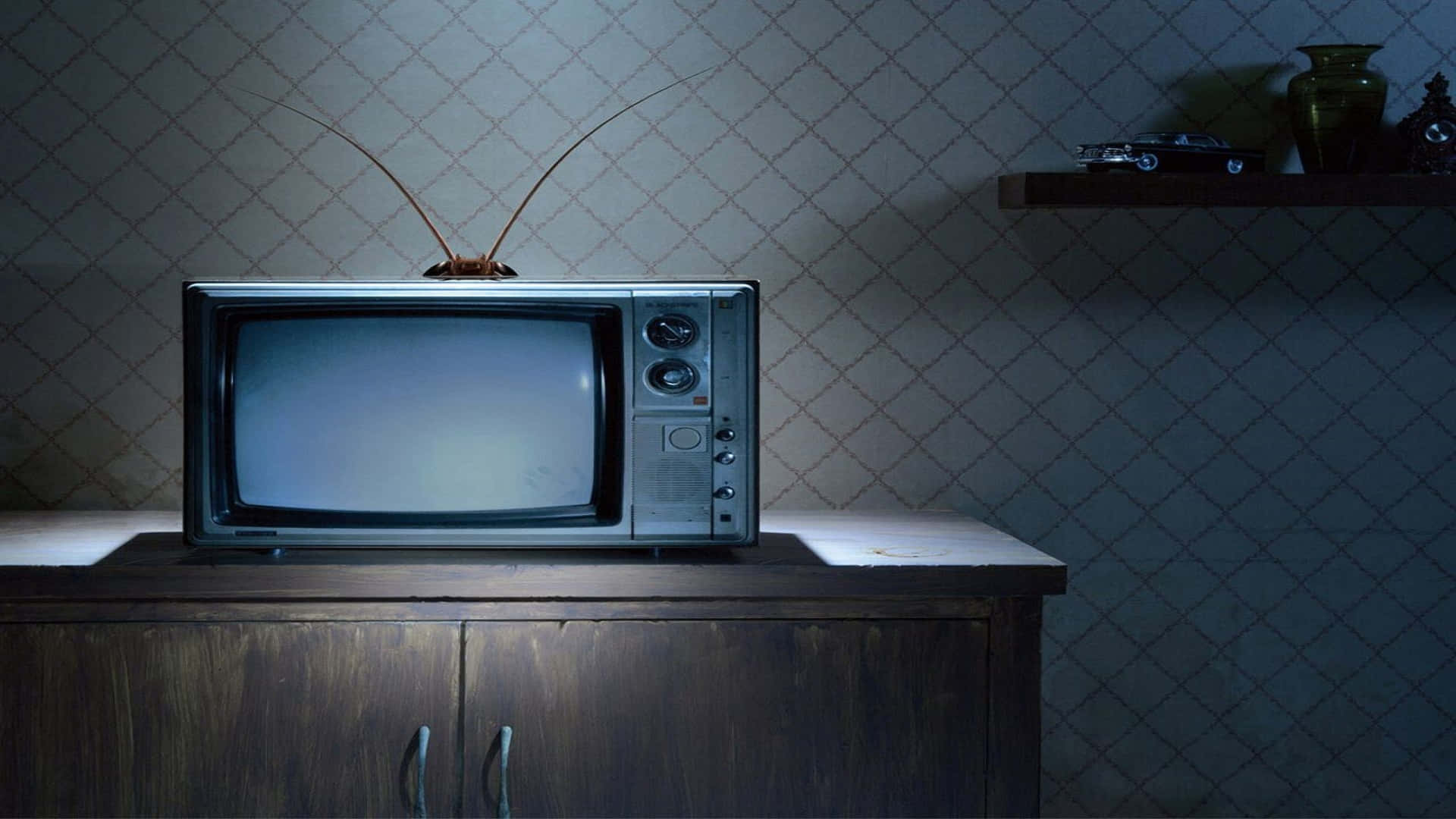 Television Set 桌布 壁紙 — 一部復古電視機放在木櫃上，房間燈光昏暗，一隻蟑螂棲息在天線上。