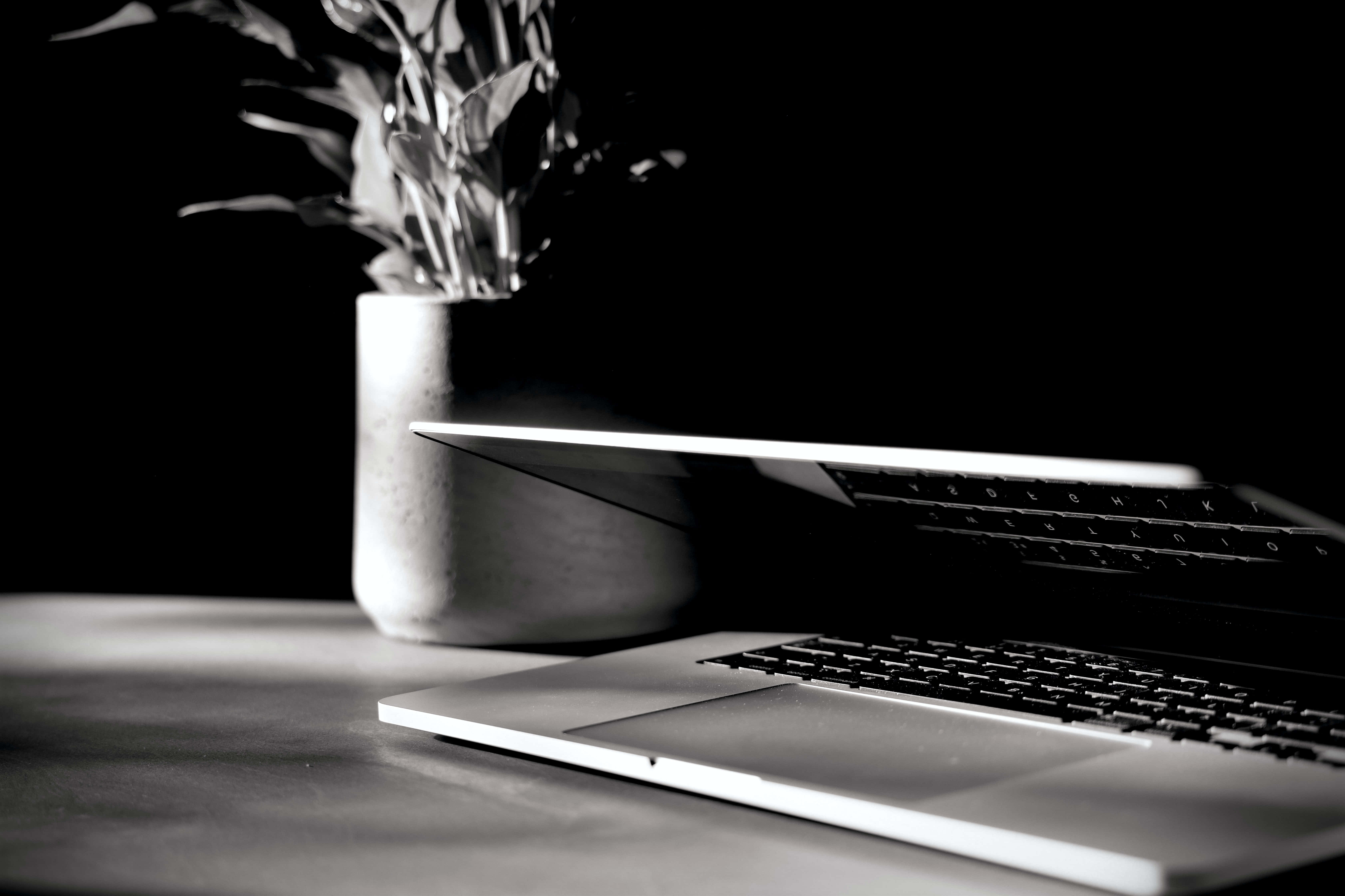 Twitter Header 桌布 壁紙 — 一部時尚手提電腦放在簡約書桌上，旁邊有一盆盆栽，在戲劇性的黑白燈光下。