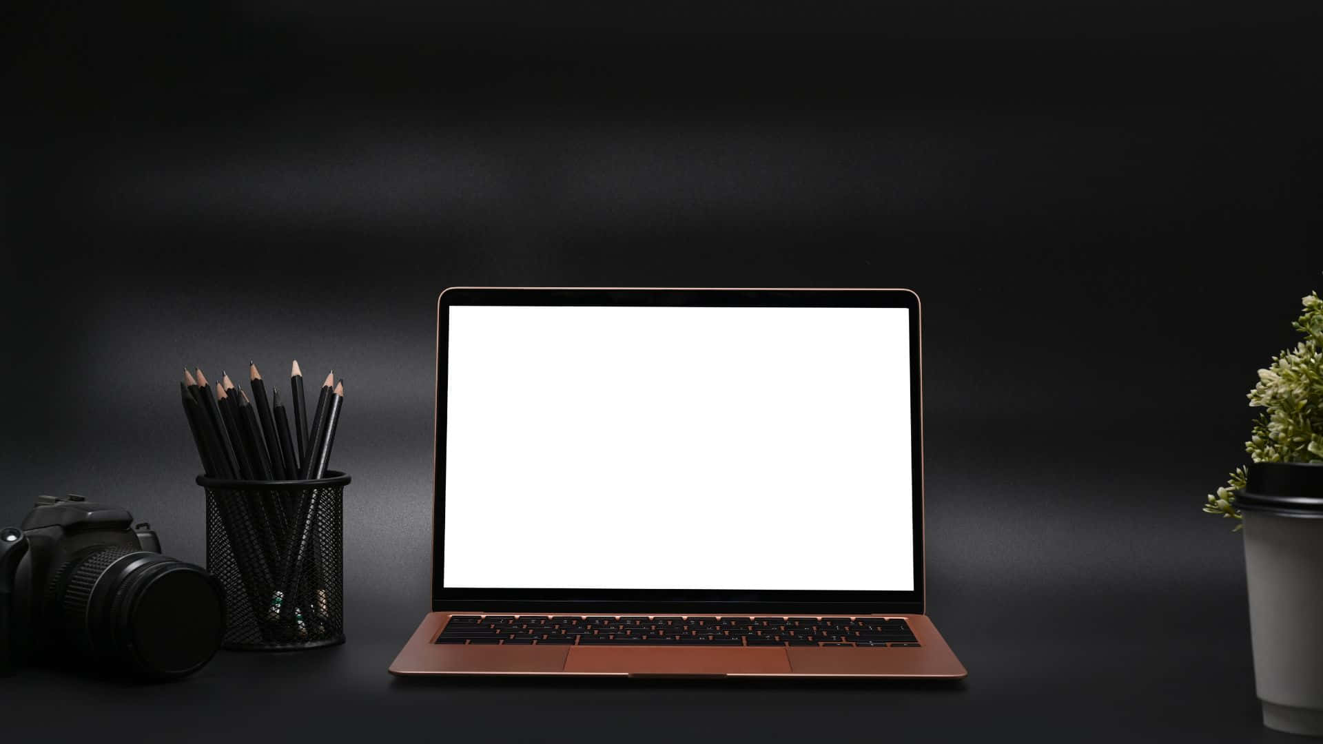 Computer Screen 桌布 壁紙 — 一部時尚的銅色手提電腦，空白白色屏幕，放在深色書桌中央，旁邊有相機筆筒和盆栽植物。