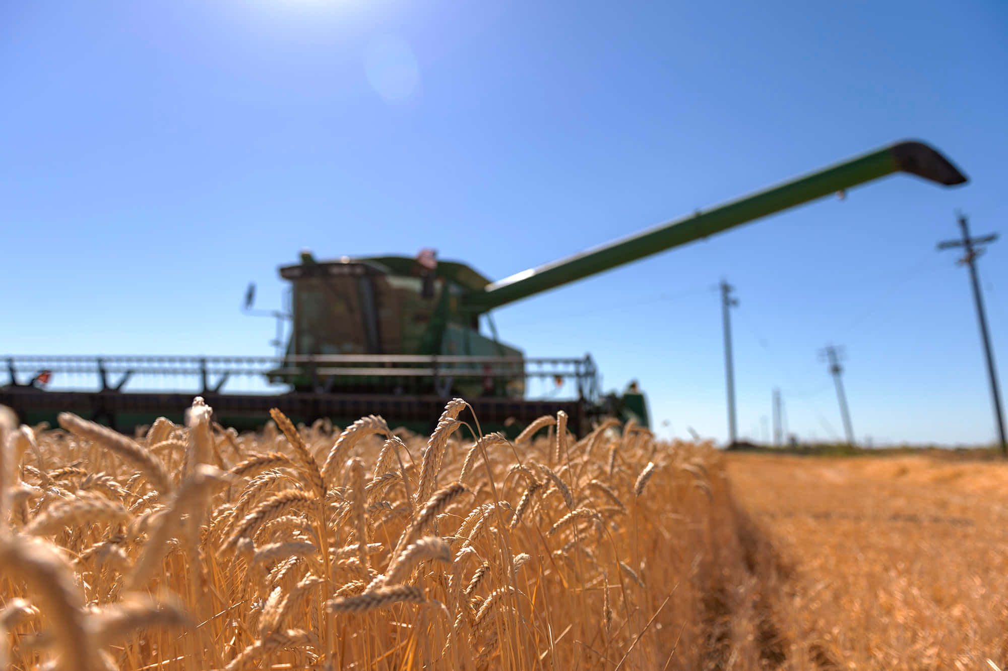 Wheat Harvest 桌布 壁紙 — 一部綠色聯合收割機在晴朗藍天和太陽光暈下收割金色小麥。