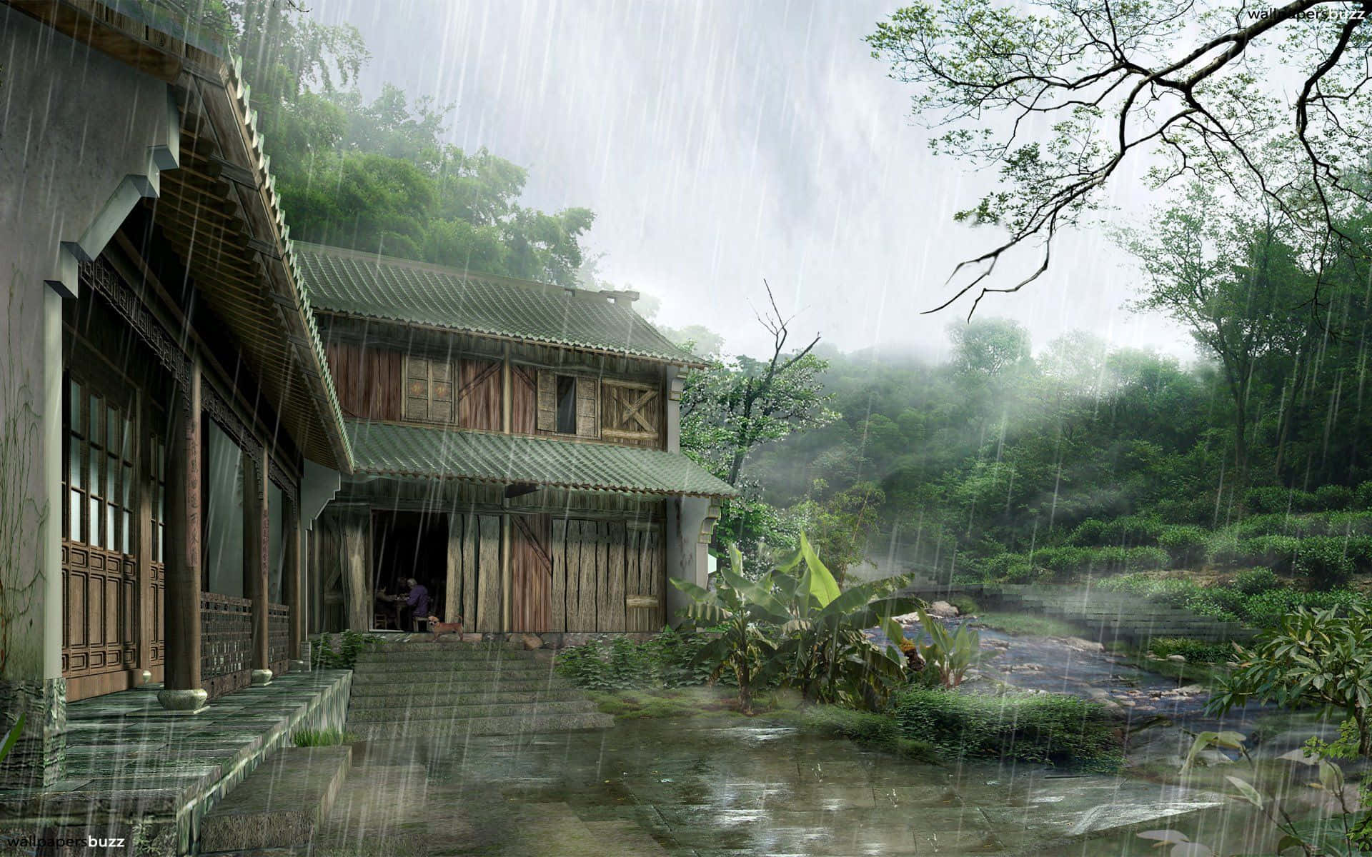 落雨 桌布 壁紙 — 一間傳統木屋坐落於霧氣瀰漫的雨林中，大雨傾盆而下，門口坐著一個人。