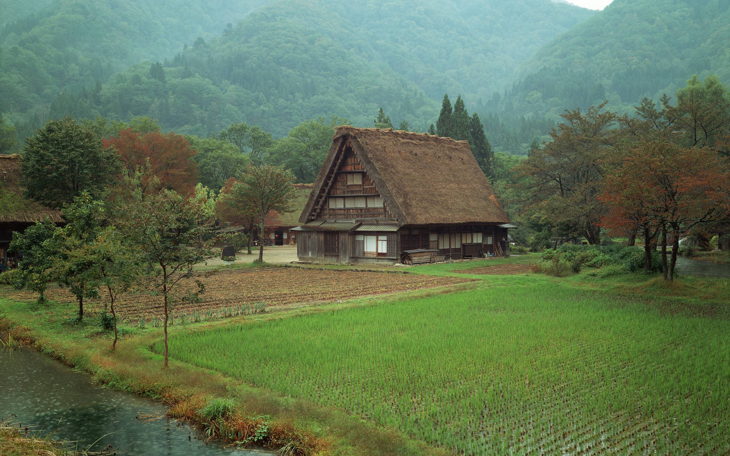 House 桌布 壁紙 — 一間傳統茅草屋頂的日本農舍坐落在霧氣瀰漫的山谷中，旁邊是翠綠的稻田和蜿蜒的小溪。