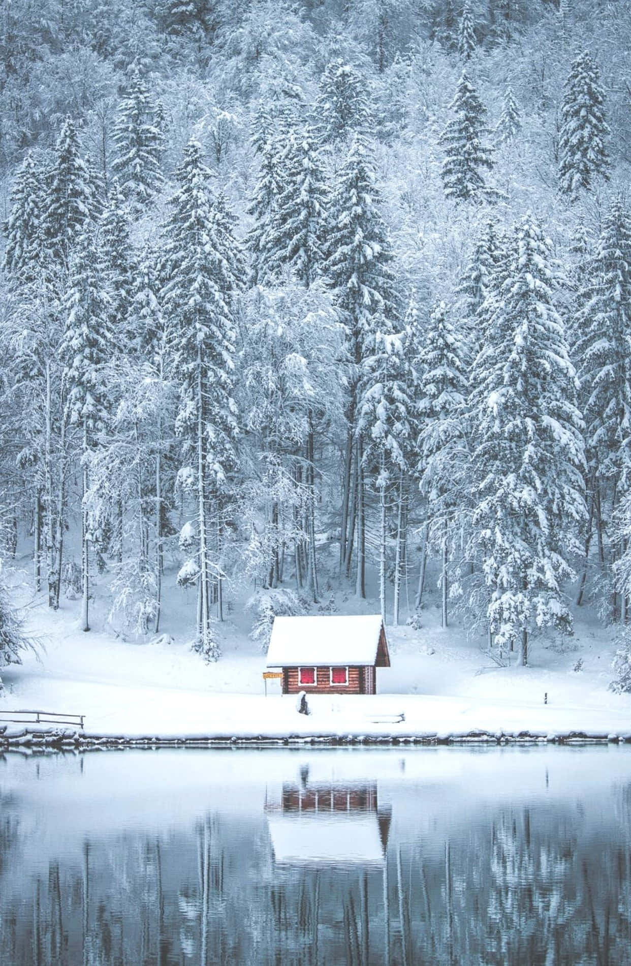 Cozy Winter Cabin 桌布 壁紙 — 一間孤獨的雪覆小屋坐落在冰凍的湖邊，周圍是高聳的松樹，冬日天空下。