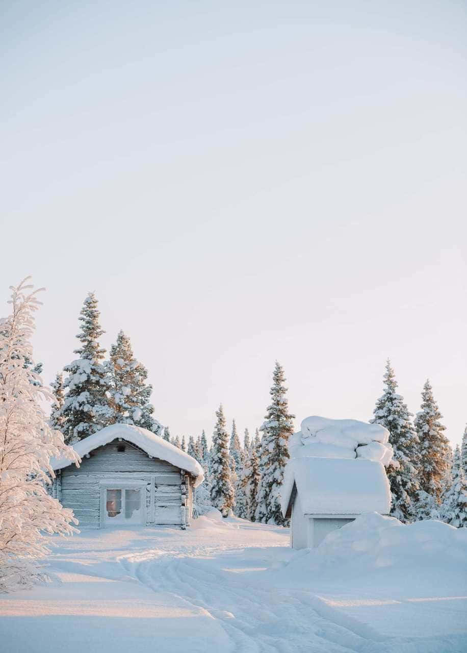Winter Photography 桌布 壁紙 — 一間寧靜的冬季小屋，坐落在積雪的松樹之間，天空呈現柔和的粉彩色調。