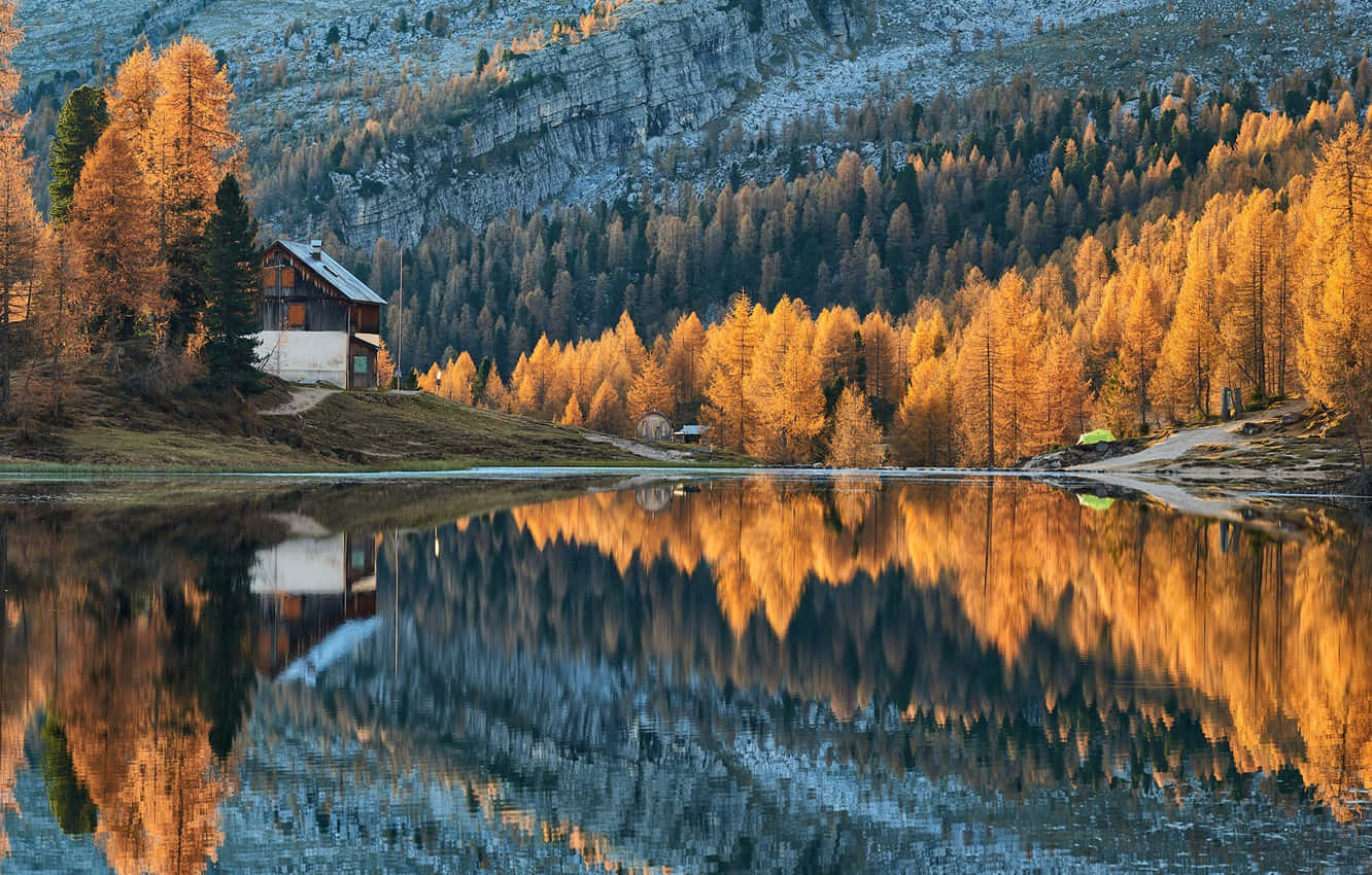 Fall Cabin 桌布 壁紙 — 一間木屋坐落在金色落葉松樹林中，在日落時分平靜的山湖中完美倒映。