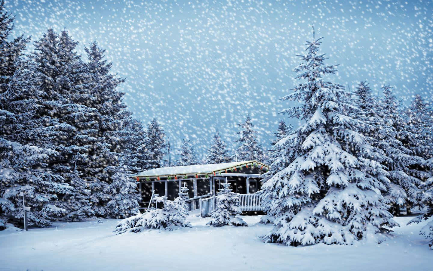 Snowstorm 桌布 壁紙 — 一間舒適的小屋坐落在積雪覆蓋的常青樹之間，天空飄落著雪花。