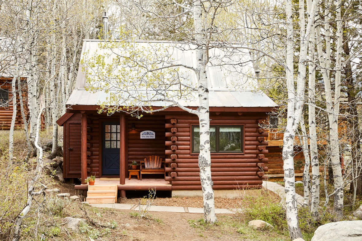 Fall Cabin 桌布 壁紙 — 一間舒適的木屋，藍色門扉，隱藏在早春高大的白皮白楊樹叢中。