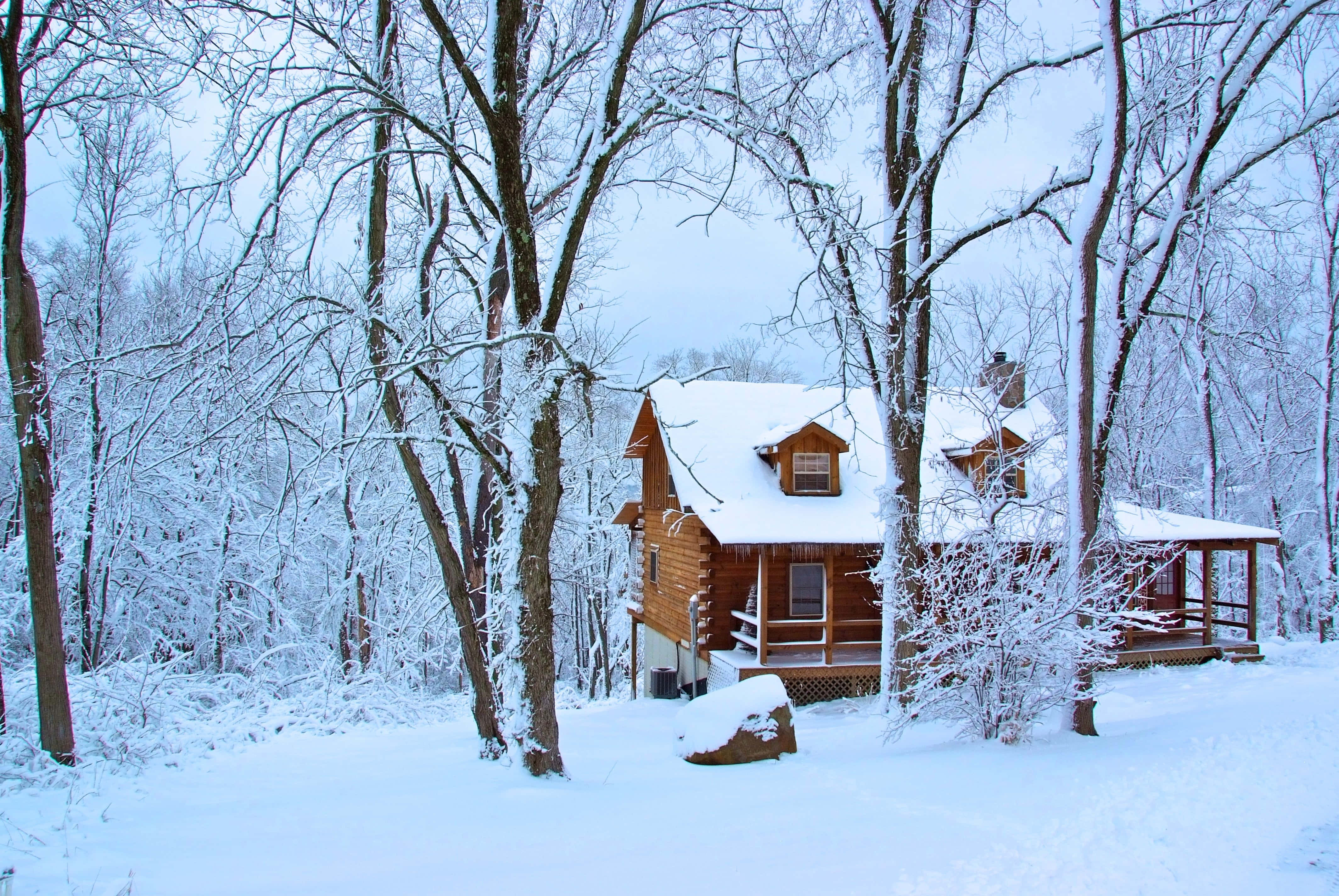 Cozy Winter Cabin 桌布 壁紙 — 一間舒適的木屋坐落在白雪皚皚的森林中，周圍是光禿禿的樹木和厚厚的白雪覆蓋。