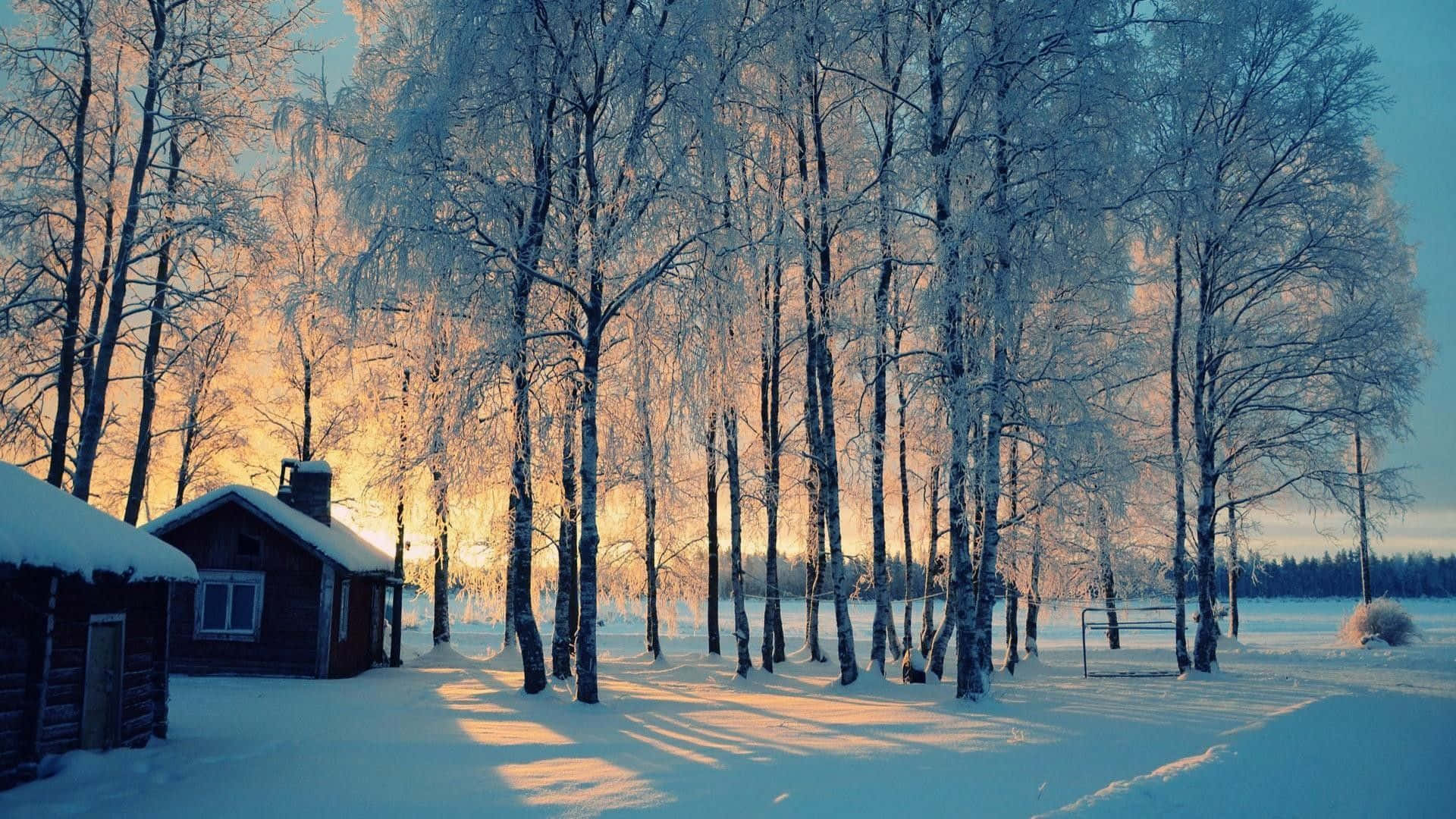 冬天桌面 桌布 壁紙 — 一間舒適的木屋坐落在白雪覆蓋的白樺林中，沐浴在金色的日出光芒中。