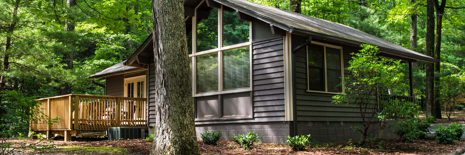 Fall Cabin 桌布 壁紙 — 一間舒適的灰色小屋，帶有木製甲板，坐落在寧靜森林環境中高大的綠樹之間。