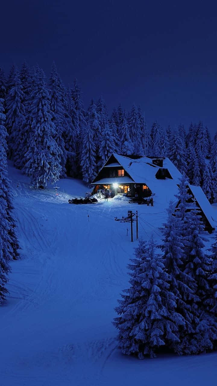 Cozy Winter Cabin 桌布 壁紙 — 一間舒適的雪覆蓋小屋在深藍色的冬夜中溫暖地發光，周圍是積雪的松樹。