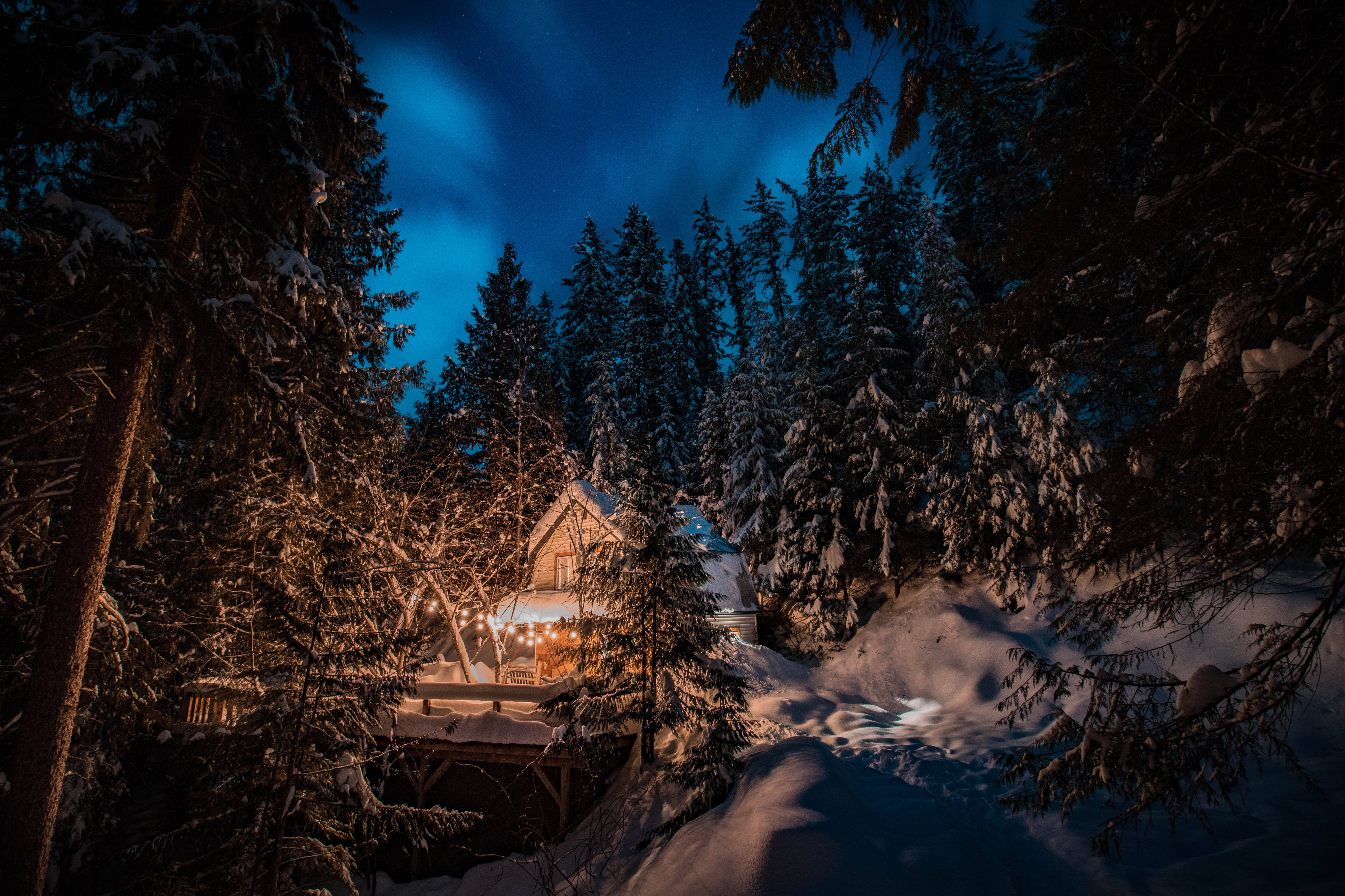 森林 桌布 壁紙 — 一間舒適的雪覆蓋小屋在繁星點點的冬夜天空下溫暖地發光，周圍是掛滿雪的松樹。