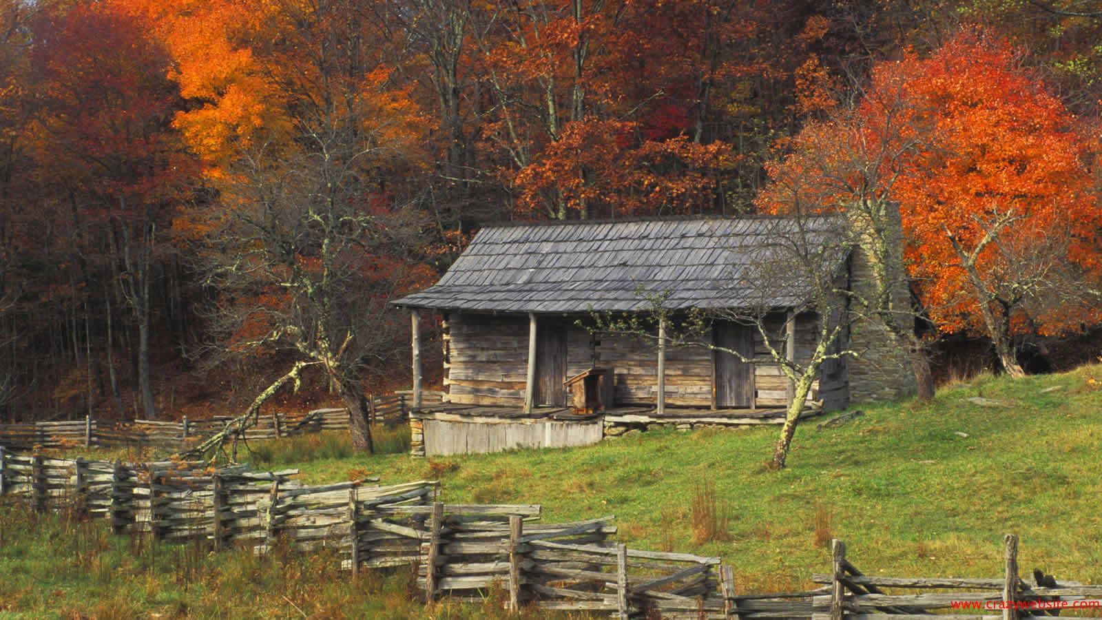 Fall Cabin 桌布 壁紙 — 一間質樸的木屋坐落在充滿活力的秋日森林中，周圍有火紅的橙色樹木和風化的木柵欄。