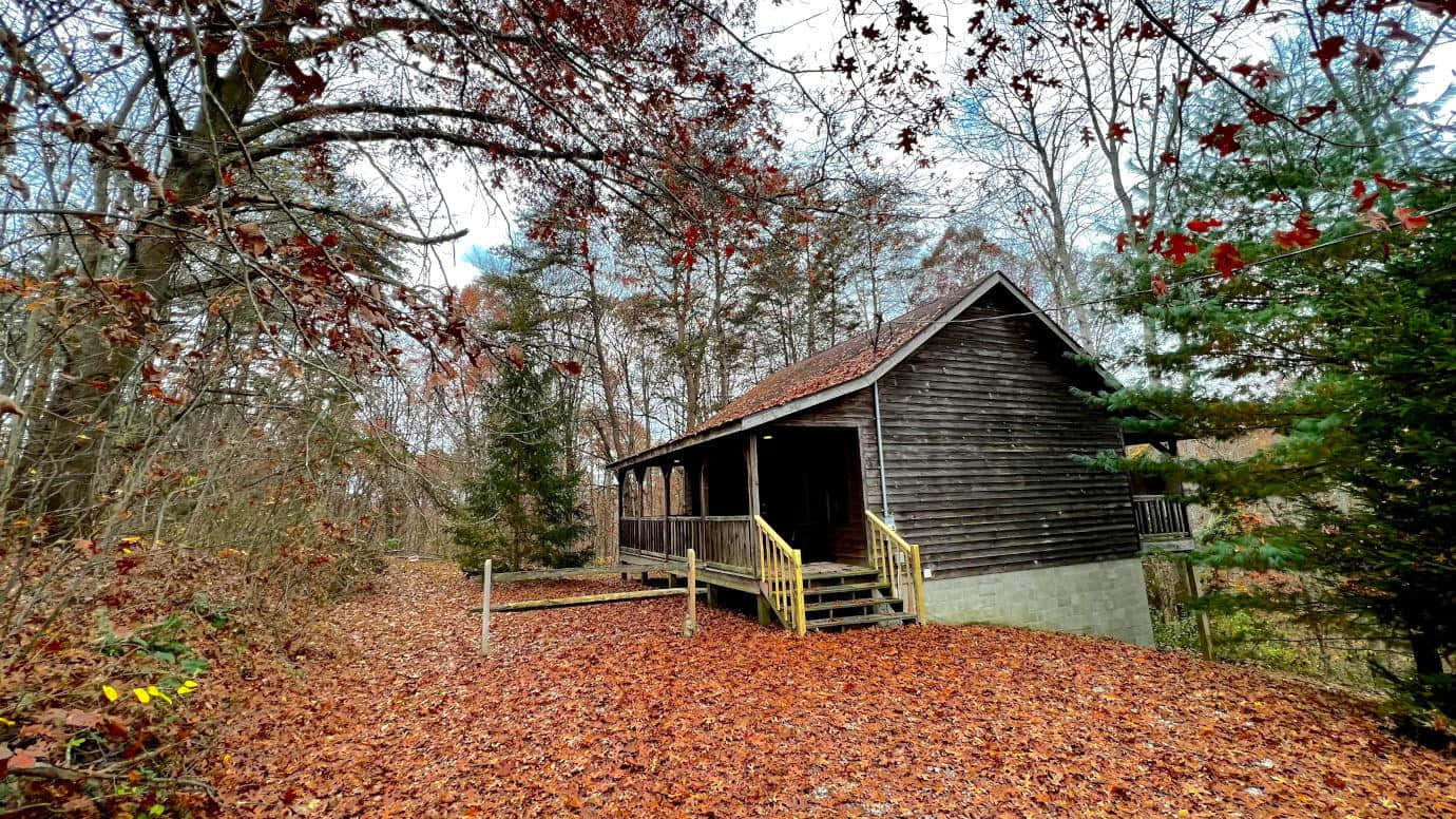 Fall Cabin 桌布 壁紙 — 一間質樸的木屋坐落在被落葉覆蓋的森林中，天空多雲。