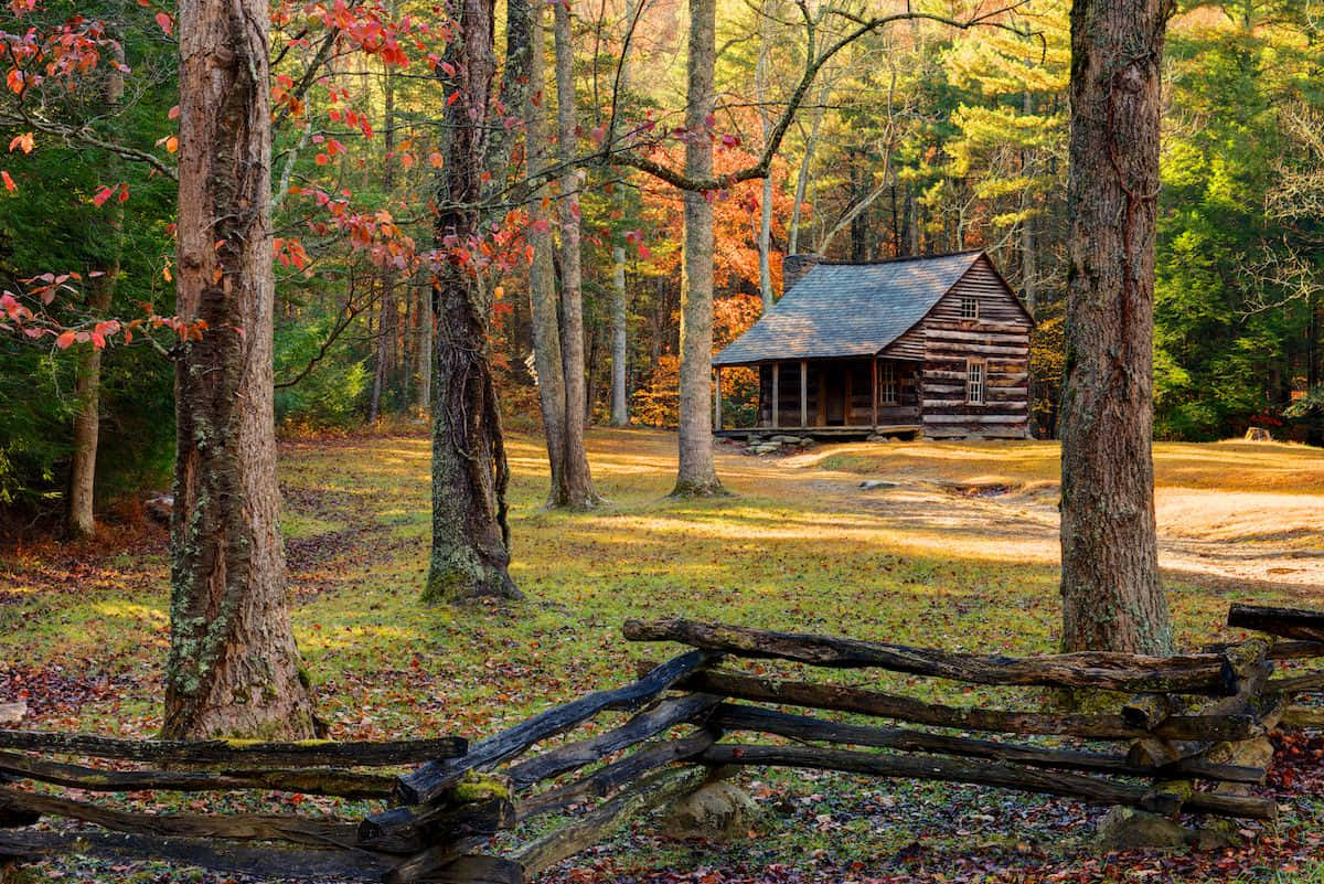 Fall Cabin 桌布 壁紙 — 一間質樸的木屋坐落在陽光明媚的秋日森林中，前景有落葉和風化的木柵欄。