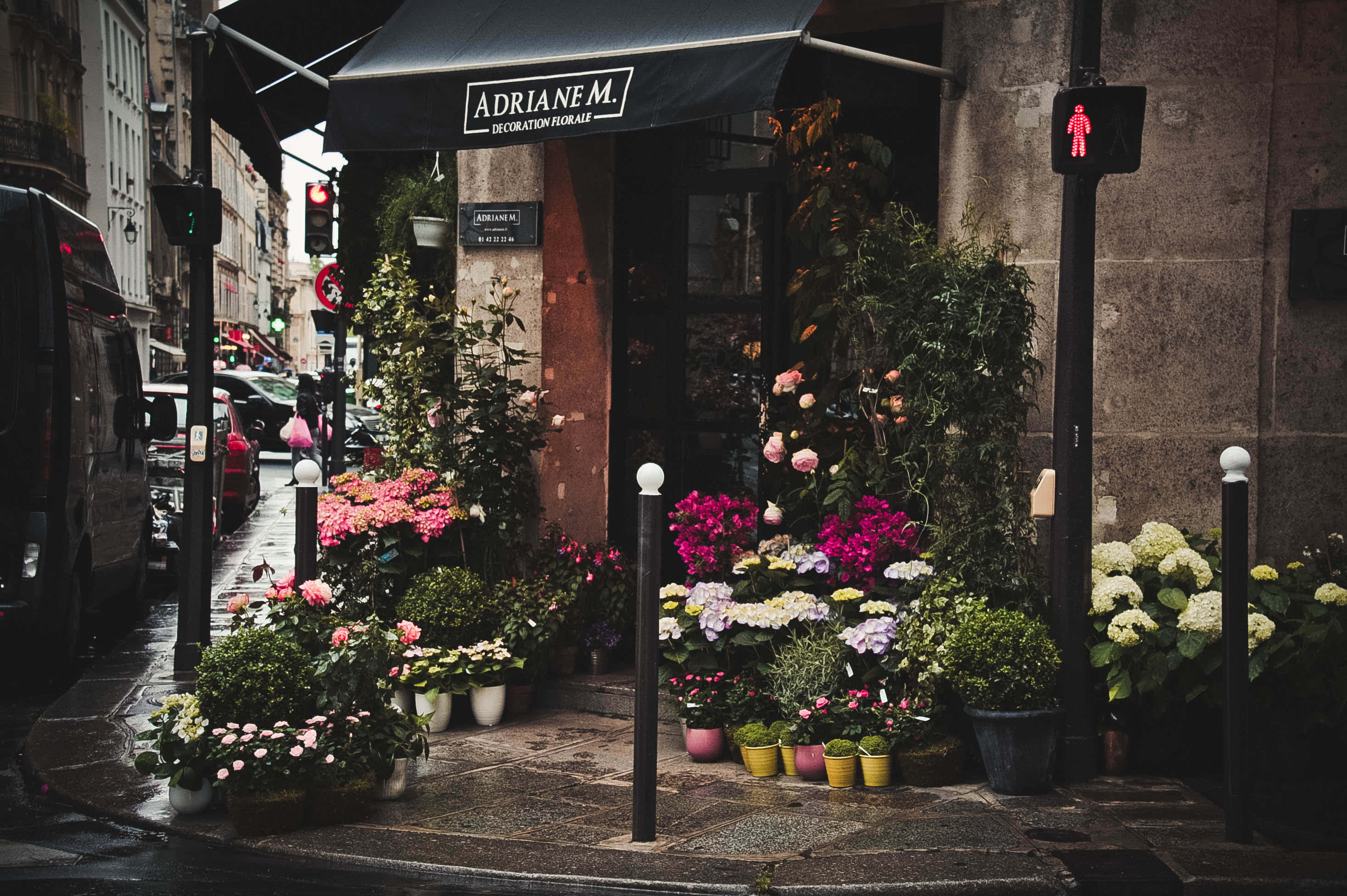 Florist 桌布 壁紙 — 一間迷人的歐洲花店在雨天的鵝卵石街角綻放著色彩繽紛的花朵。