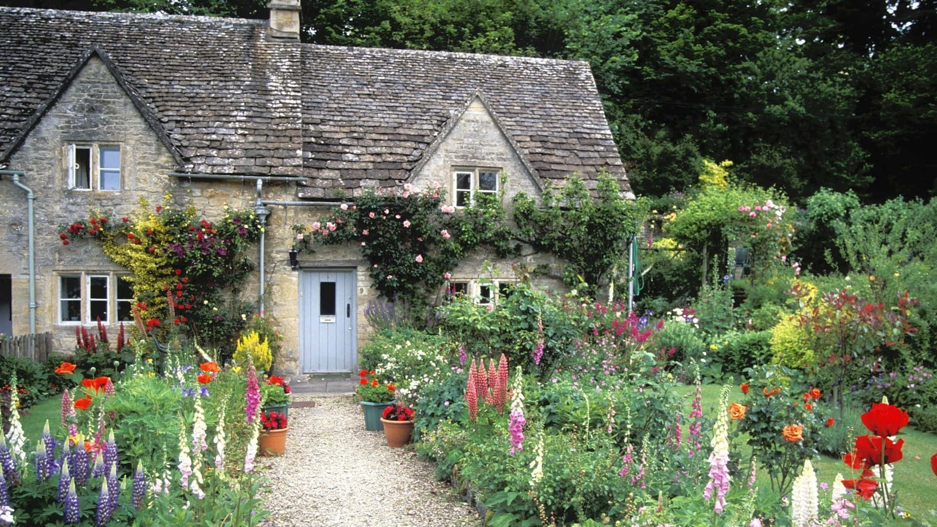 Cottage Garden 桌布 壁紙 — 一間迷人的石頭小屋，配以石板屋頂，坐落於充滿色彩繽紛花朵和攀緣玫瑰的活力花園中。